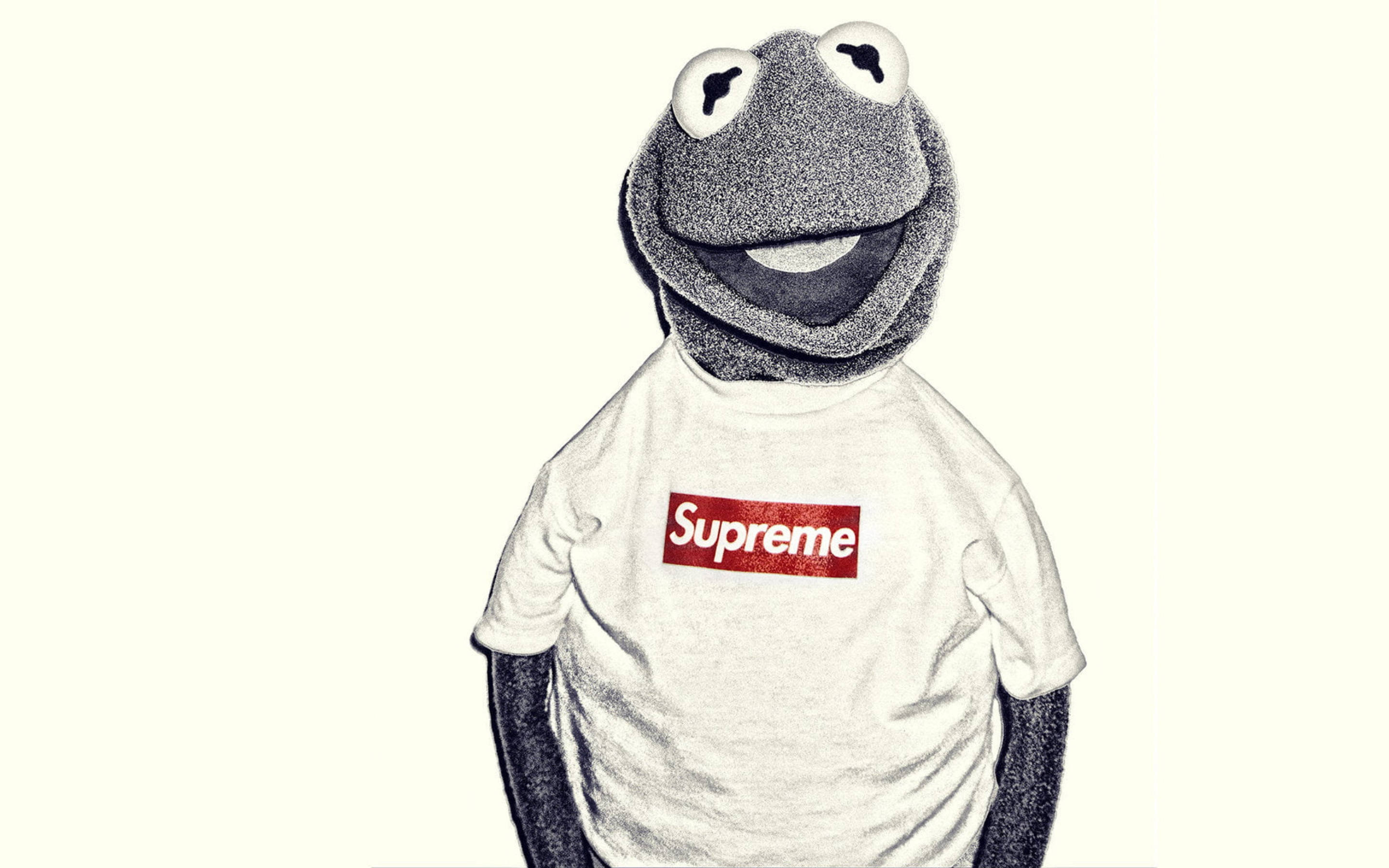 超屌 Supreme 桌布 壁紙 — Kermit the Frog 身穿白色 Supreme T 恤，背景為純奶油色，帶有粗糙紋理效果。