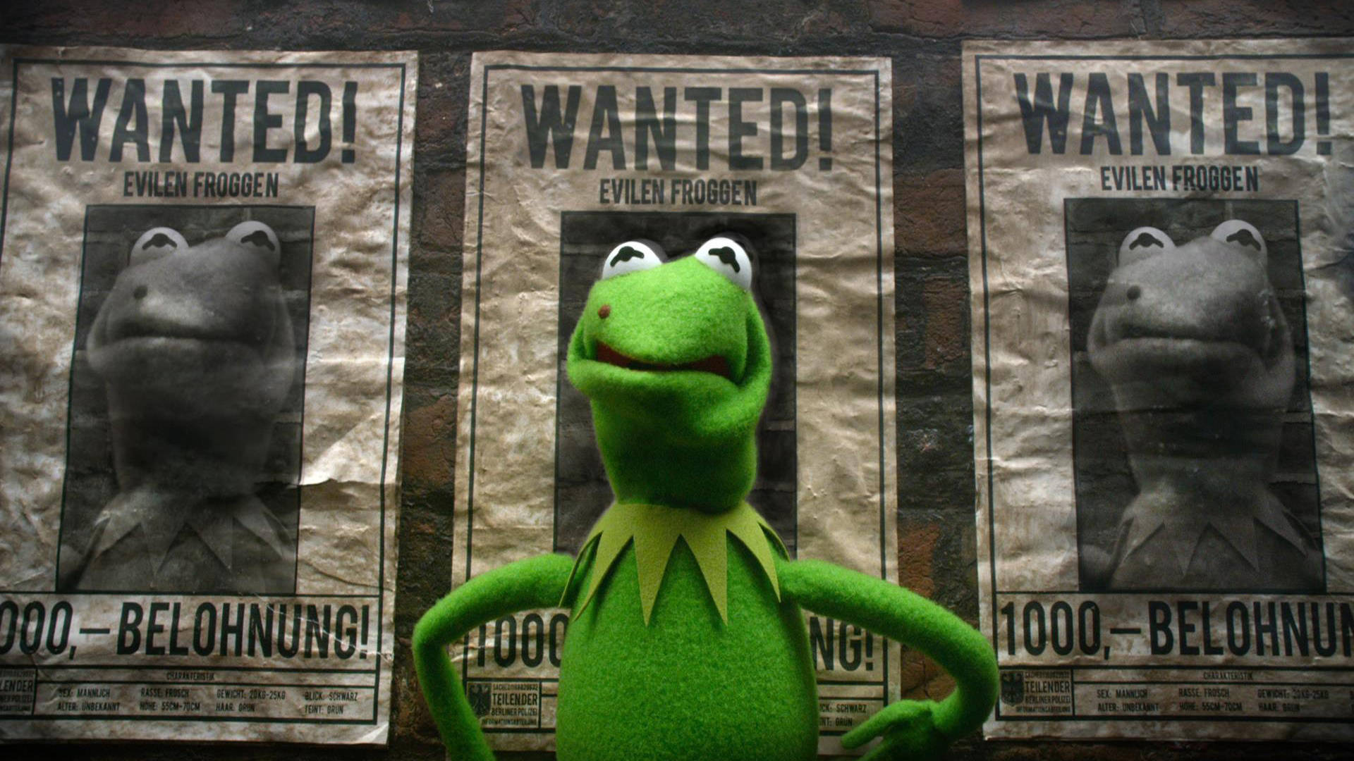 muppets 桌布 壁紙 — Kermit the Frog 自信地站在三張破舊的通緝海報前，海報上有他自己的臉和「Evilen Froggen」文字。