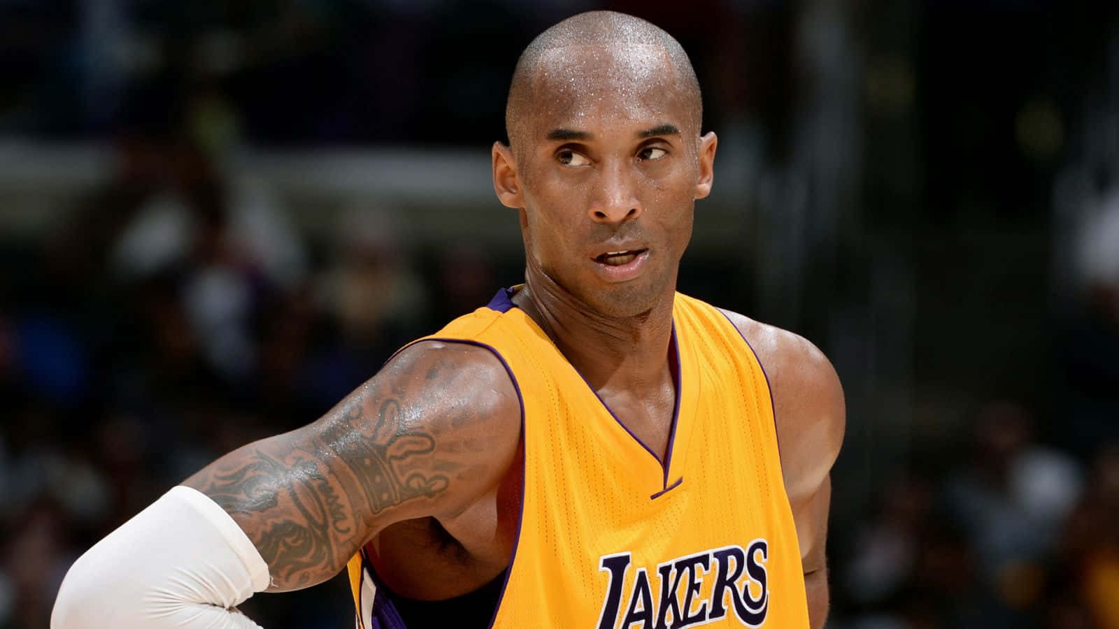 Kobe Bryant 圖片 壁紙
