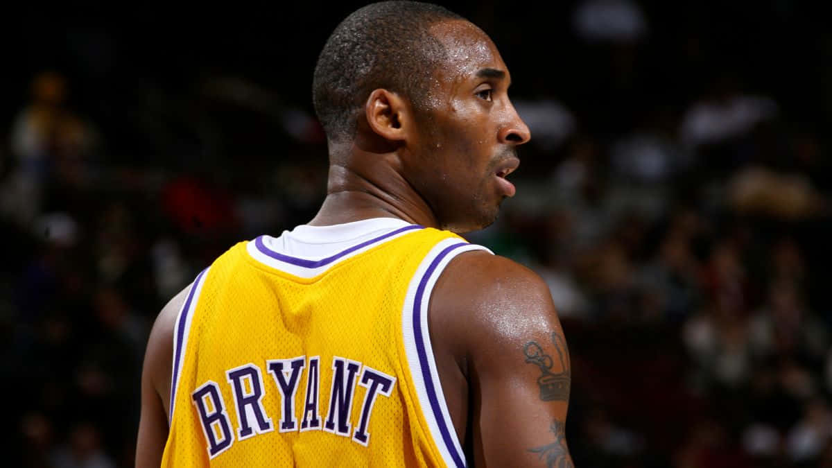 Kobe Bryant 圖片 壁紙