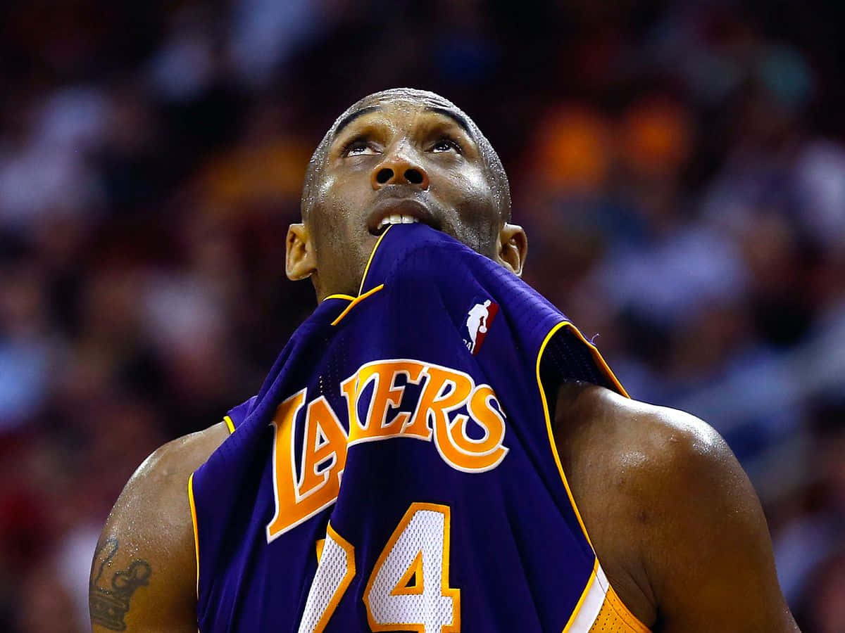 Kobe Bryant 照片 壁紙