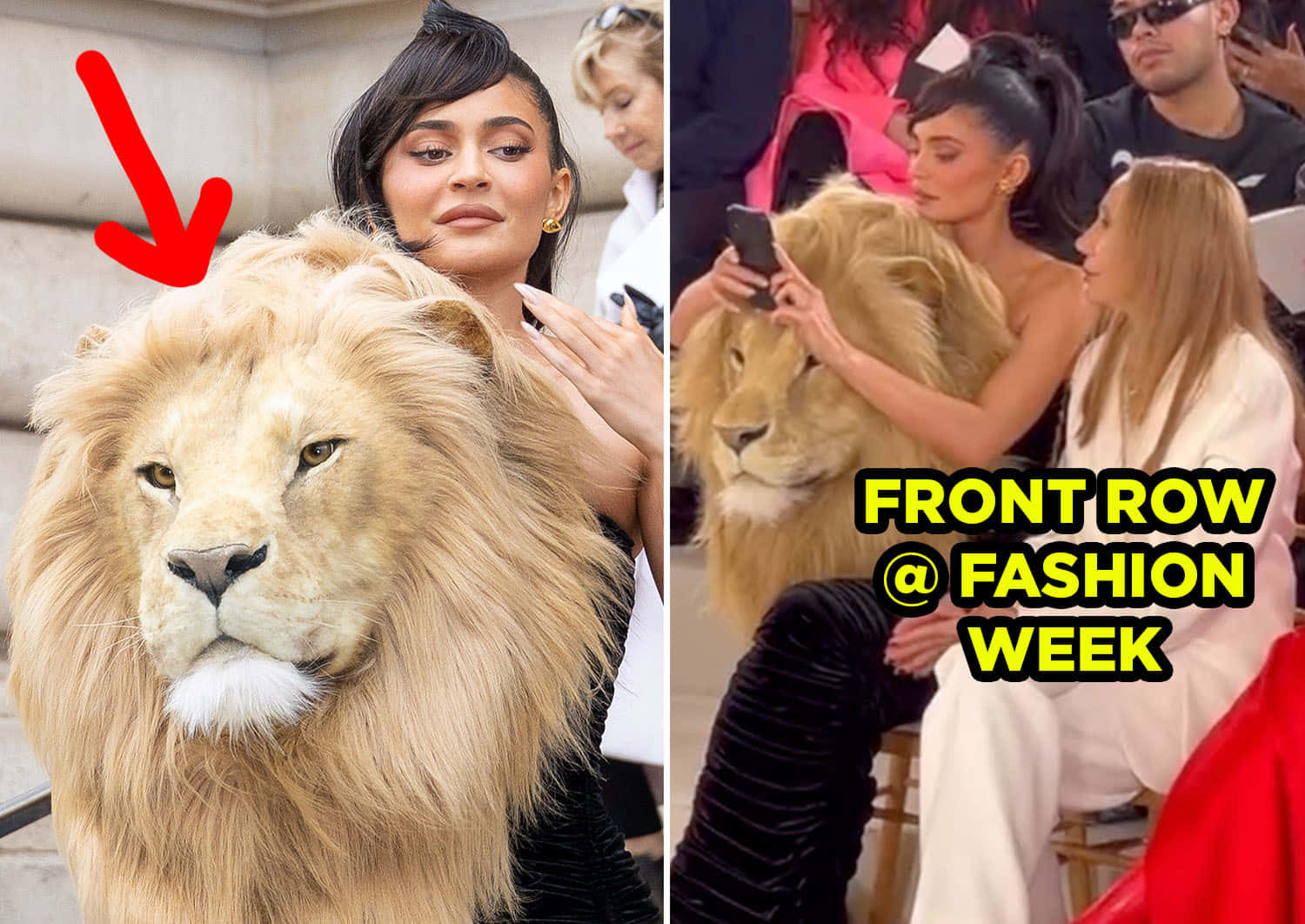 Lion Head 桌布 壁紙 — Kylie Jenner 坐在時裝秀前排，旁邊有一隻大白獅，周圍有與會者。
