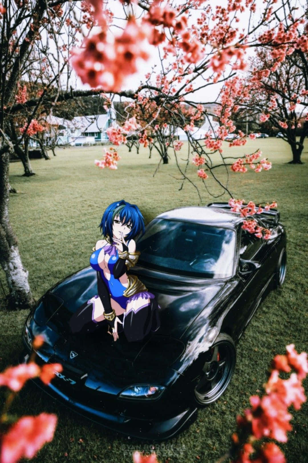 動漫女孩穿著藍色服裝跪在黑色跑車上，櫻花下。 — Jdm 壁紙