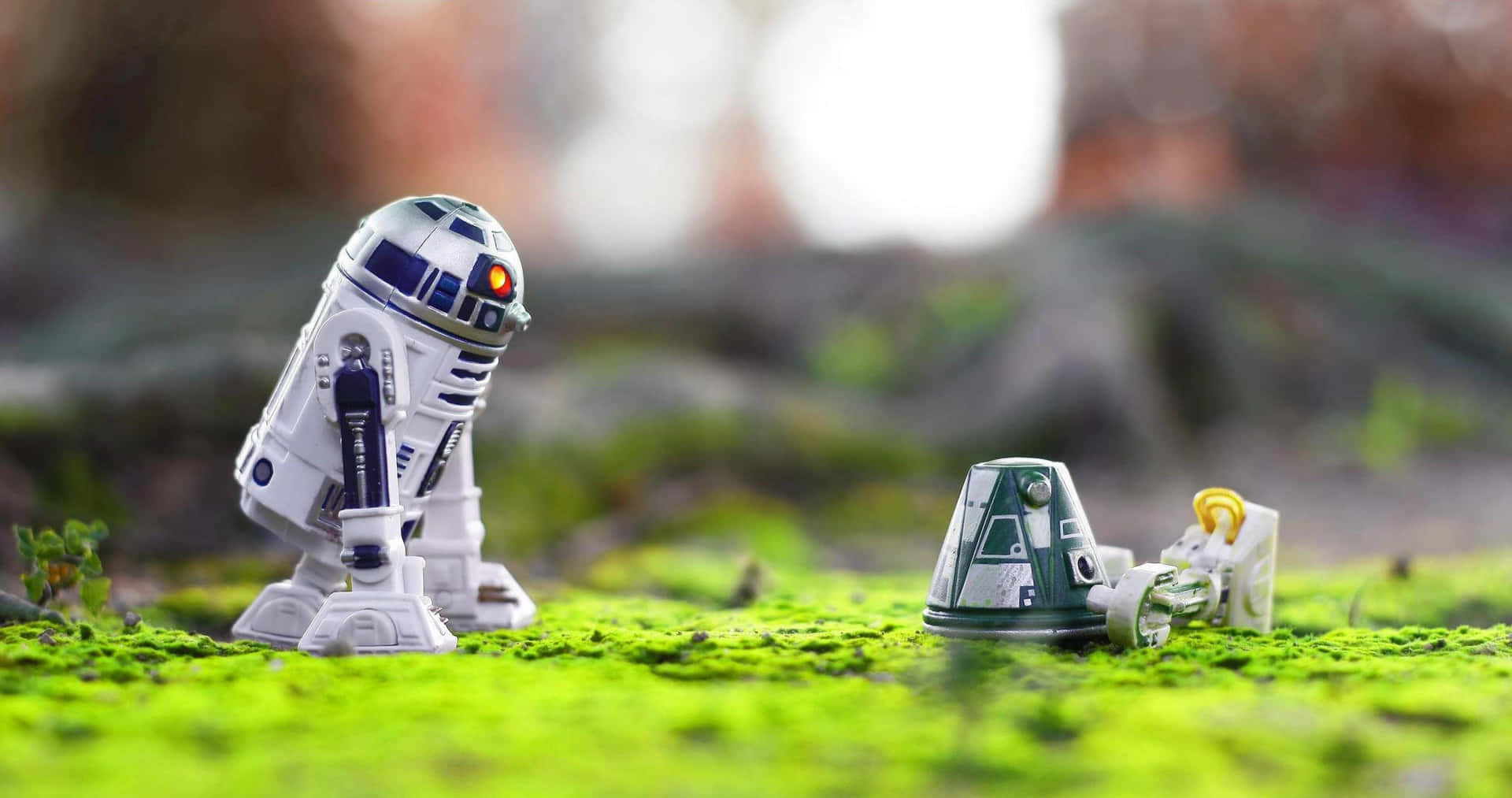  壁紙 — 兩個星戰機器人R2D2和一個較小的機器人站在鮮綠色苔蘚上，景深較淺。