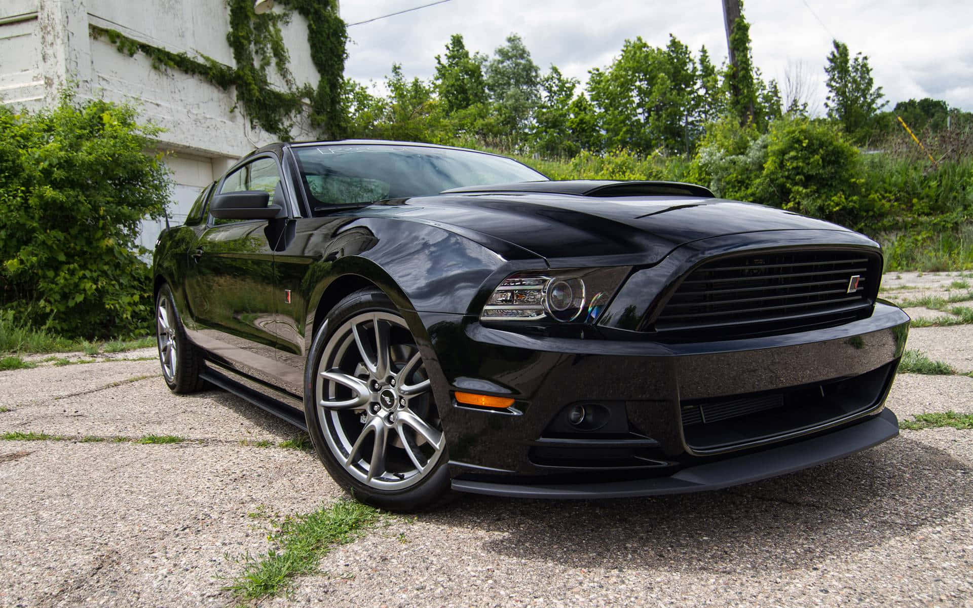 Ford Mustang Roush 桌布 壁紙 — 一輛亮黑色福特野馬跑車停泊在碎石路上，旁邊是一座經風化的白色建築，背景有綠色常春藤和樹木。