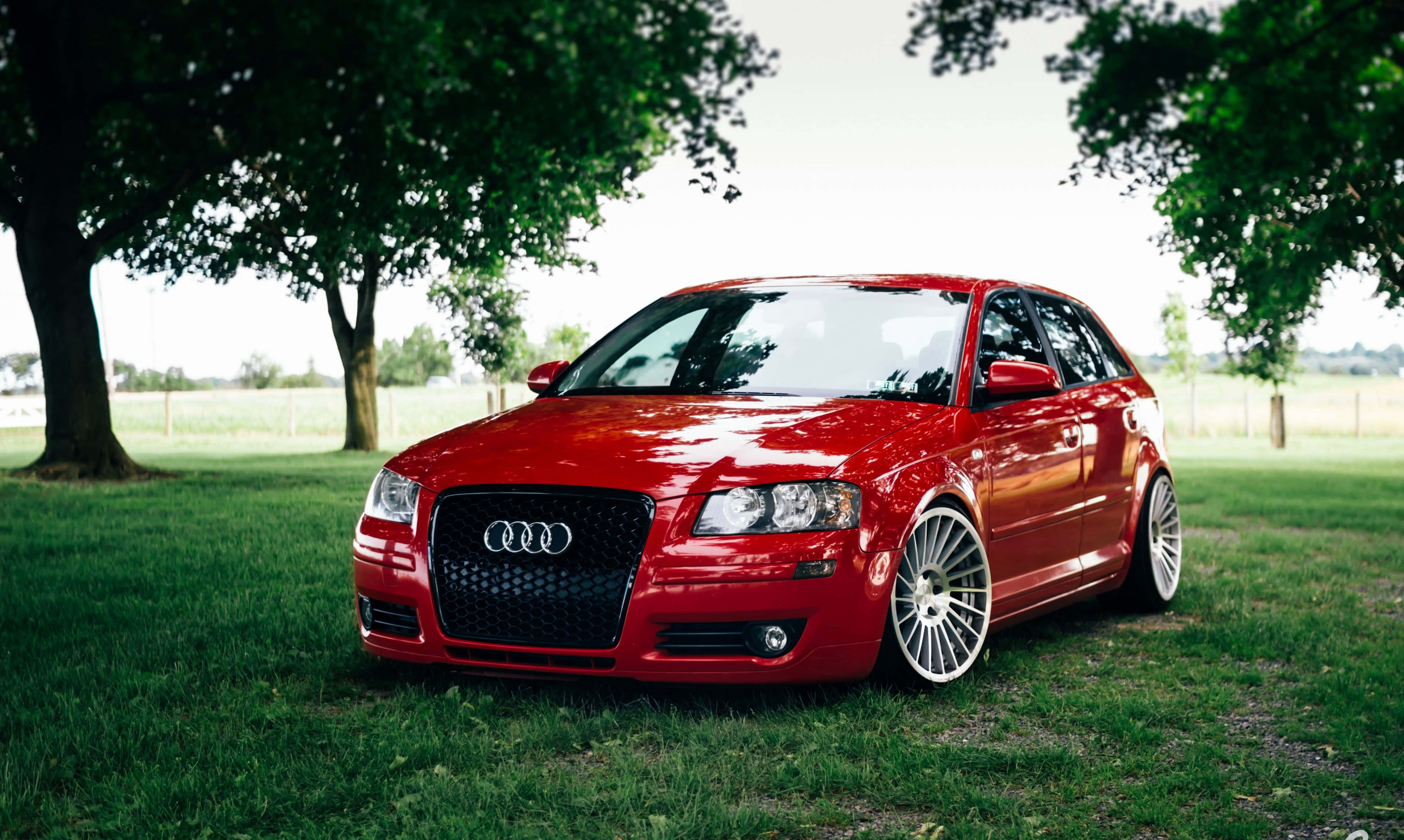 Audi S3 桌布 壁紙 — 一輛亮紅色Audi旅行車停在草地上，樹葉茂密的樹木下，明亮的日光中。