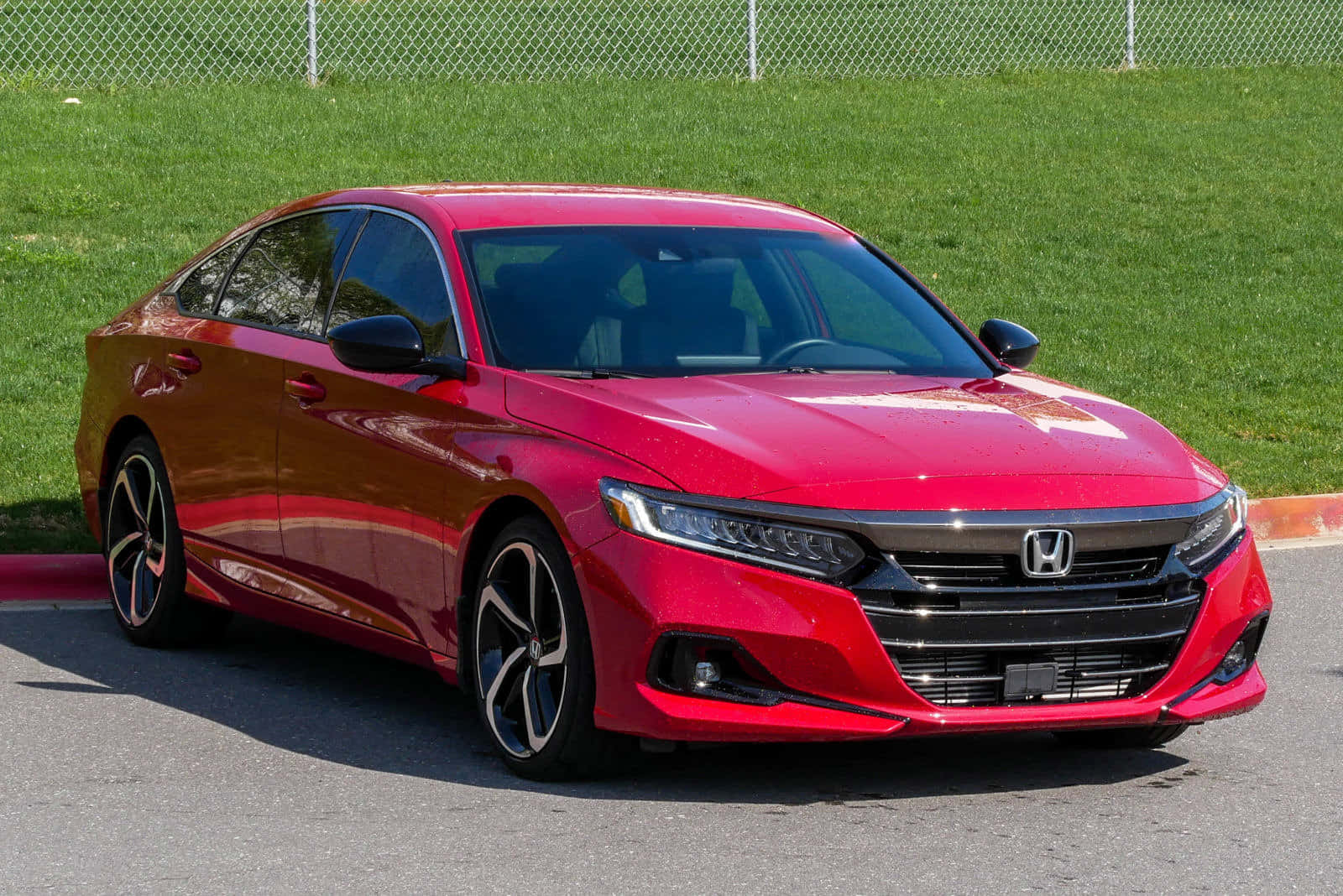Honda Accord 桌布 壁紙 — 一輛亮紅色本田轎車停在柏油路上，背後有草地和鐵絲網圍欄，在明亮的陽光下。
