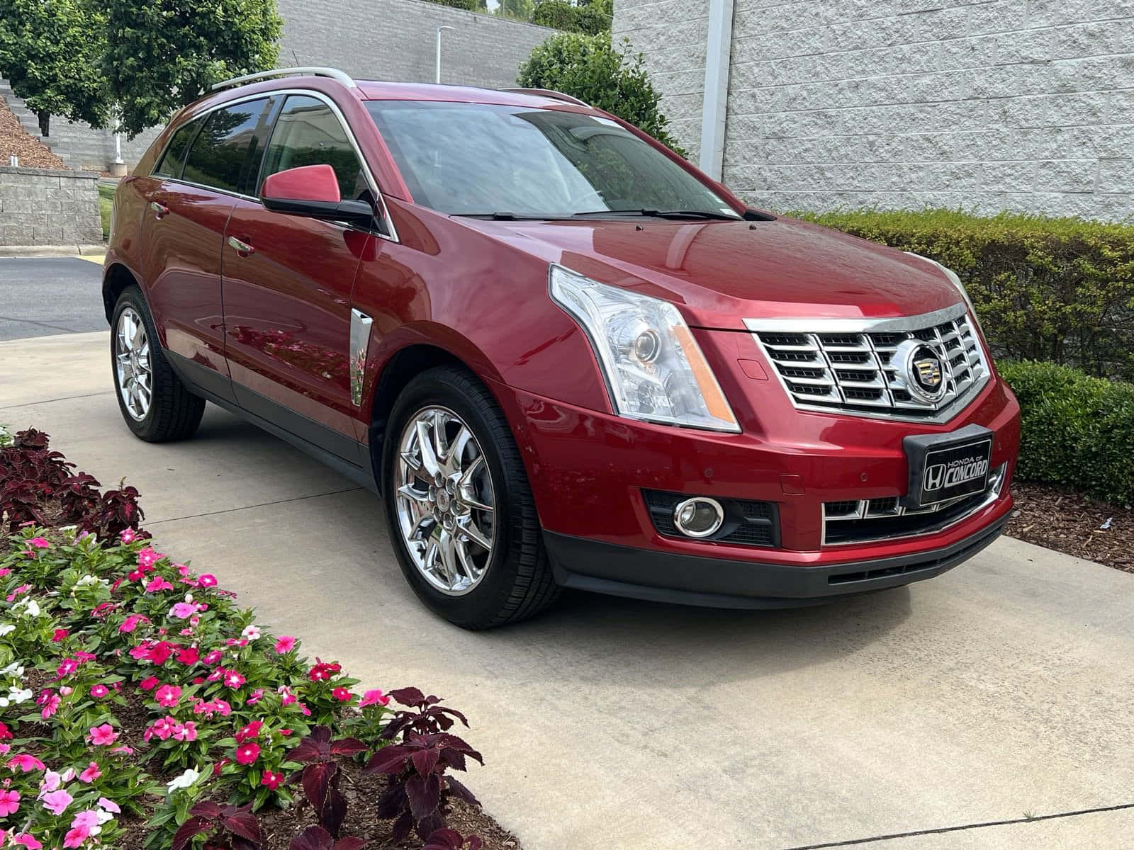 Cadillac Srx 桌布 壁紙 — 一輛亮紅色的Cadillac SRX SUV停在混凝土車道上，旁邊是一個充滿活力的花壇，開滿粉紅色和白色的花朵。