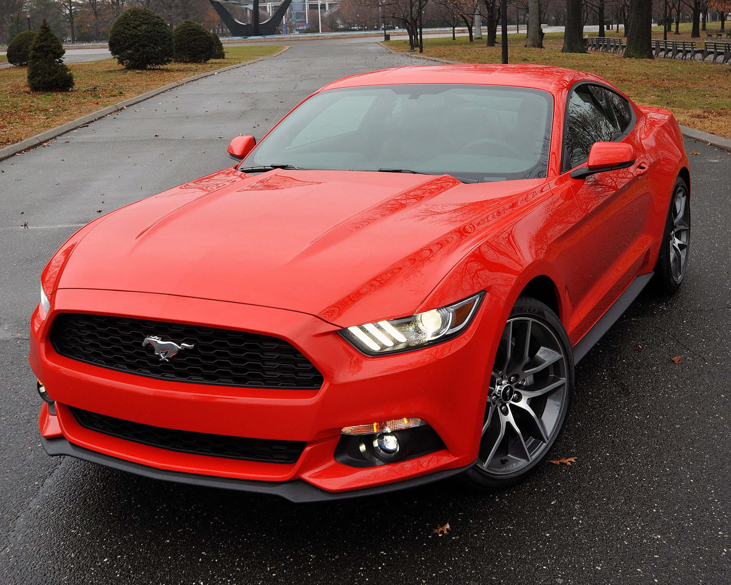 Ford Mustang Ecoboost 桌布 壁紙 — 一輛亮紅色的福特野馬跑車停在濕漉漉的瀝青路上，背景有秋葉和光禿禿的樹木。