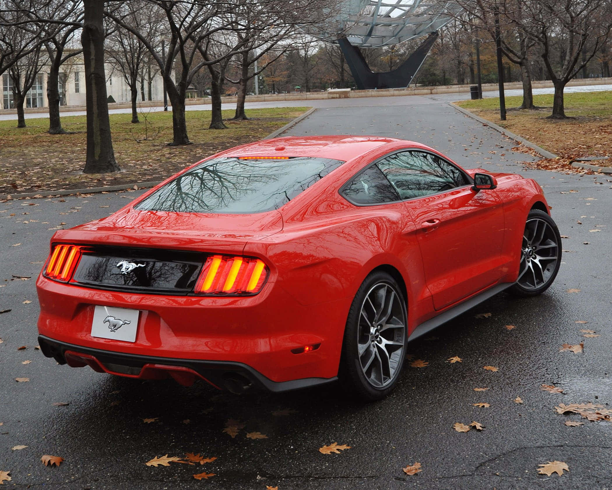 Ford Mustang Ecoboost 桌布 壁紙 — 一輛亮紅色福特野馬轎跑車停在濕漉漉的路面上，周圍是落葉和光禿禿的樹木。