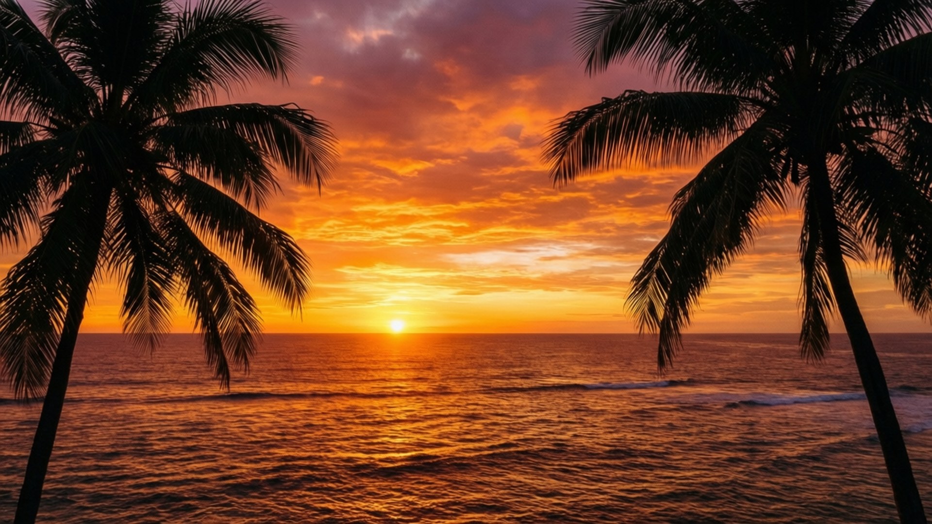 Paradise Sunset 壁紙 — 兩棵棕櫚樹框住平靜海面上充滿活力的橙色日落，伴隨著輕柔的海浪。