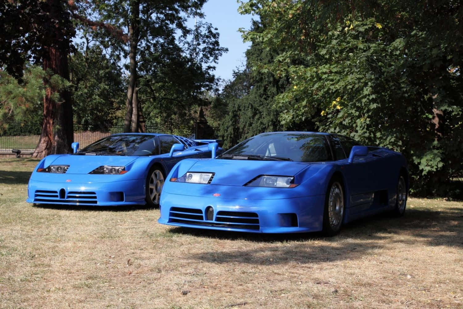 Bugatti Eb110 桌布 壁紙 — 兩輛閃閃發光的藍色Bugatti EB110超級跑車在陽光明媚的日子停放在乾草上，周圍是枝葉茂密的樹木。