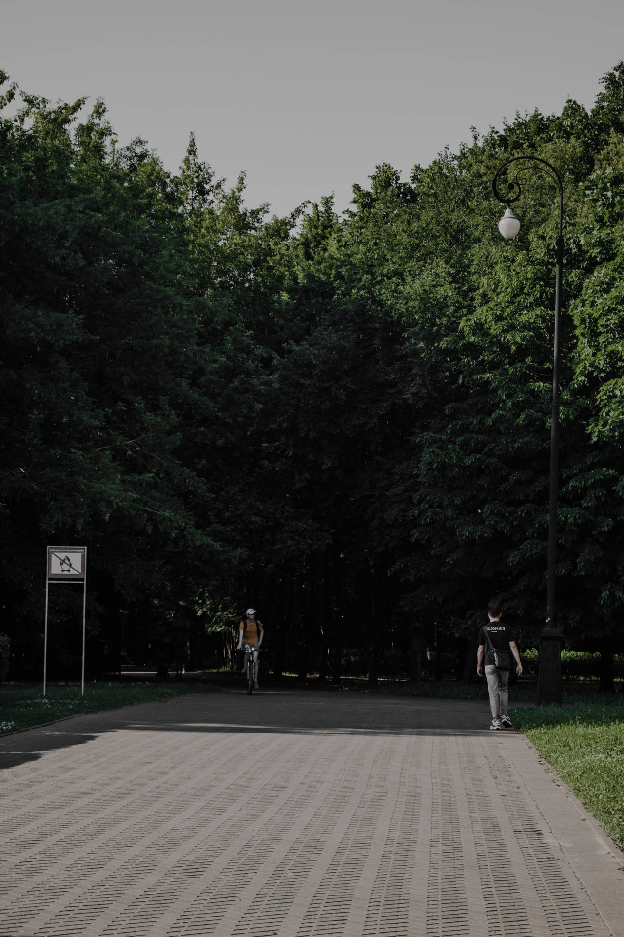兩人在鋪砌小徑上步行和騎腳踏車，穿過翠綠公園。 — 高清籃球 壁紙