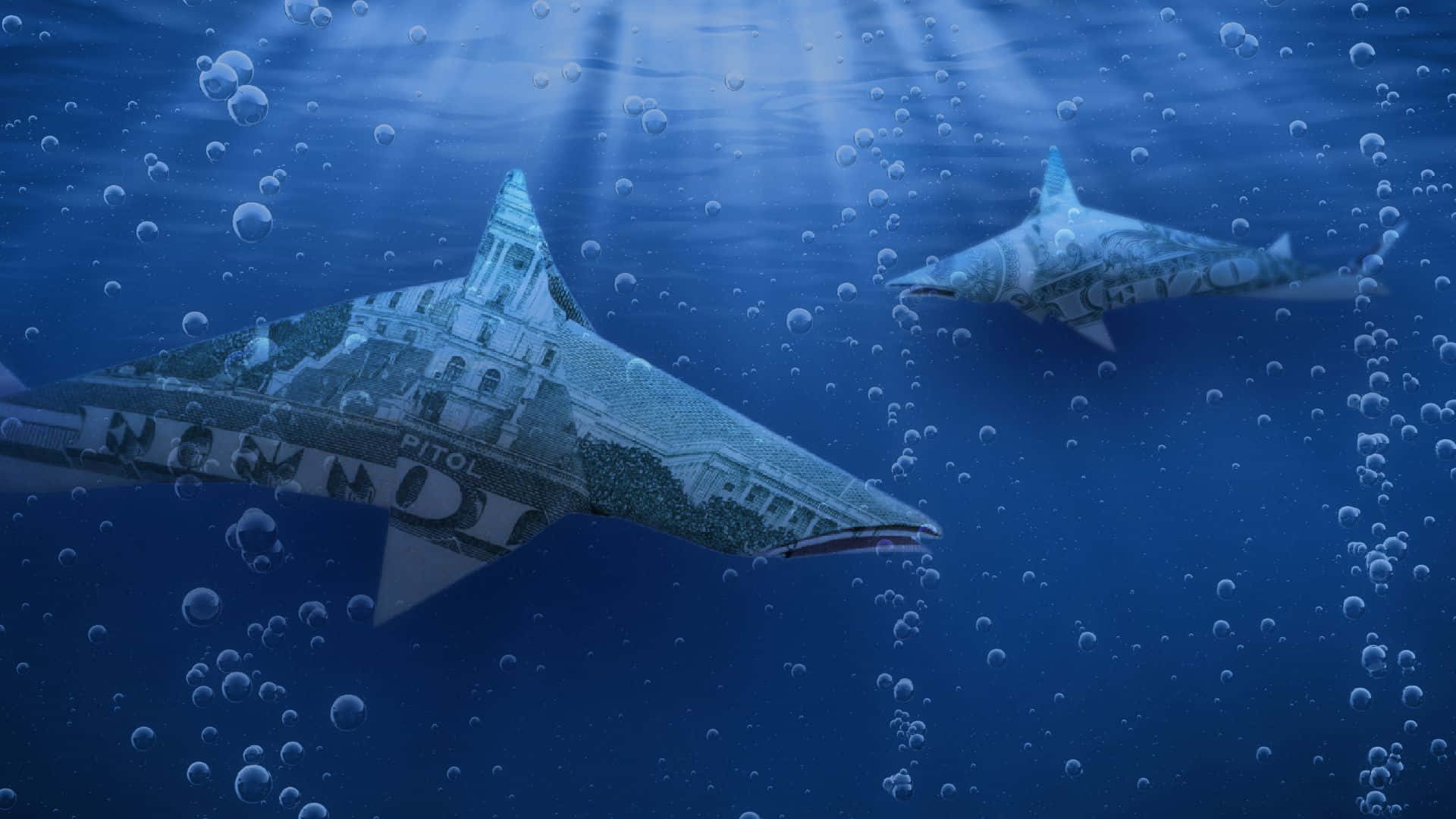  壁紙 — 兩條用美元紙鈔製成的鯊魚在深藍色水中滑行，伴隨著陽光光束和氣泡。