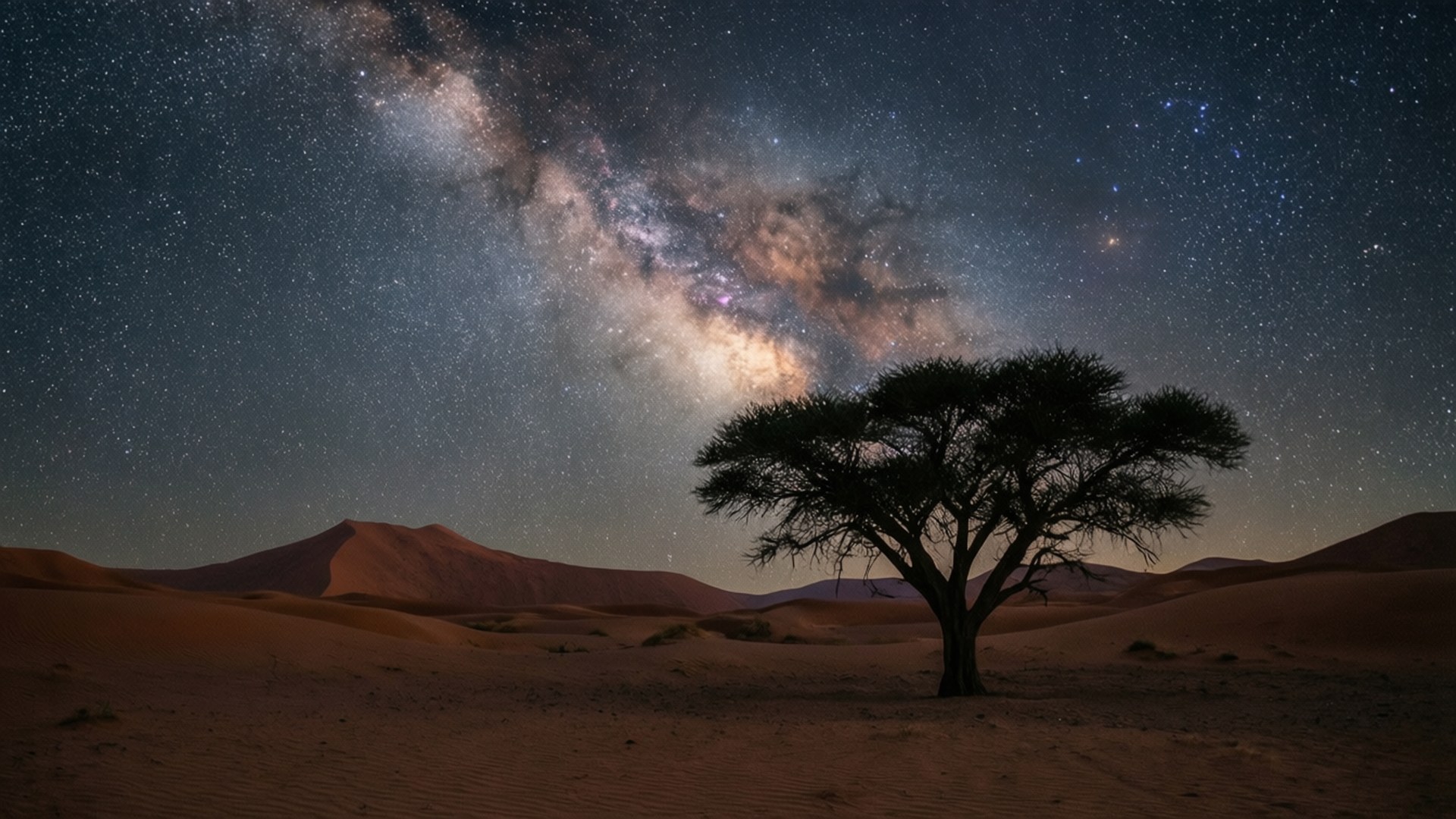 Desert Milky Way Starry Night 壁紙 — 一棵孤獨的金合歡樹在燦爛的銀河拱橋下，襯托著金色沙漠沙丘的剪影，在繁星點點的夜空下。