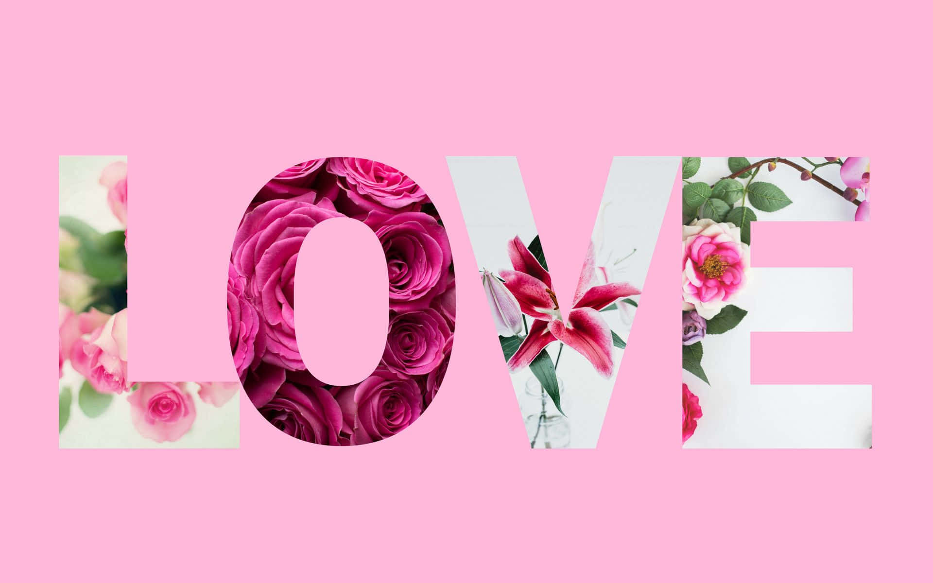 粉紅色 桌布 壁紙 — LOVE 這個詞由粉紅玫瑰和百合花的花卉剪影在柔和的粉紅背景上形成。