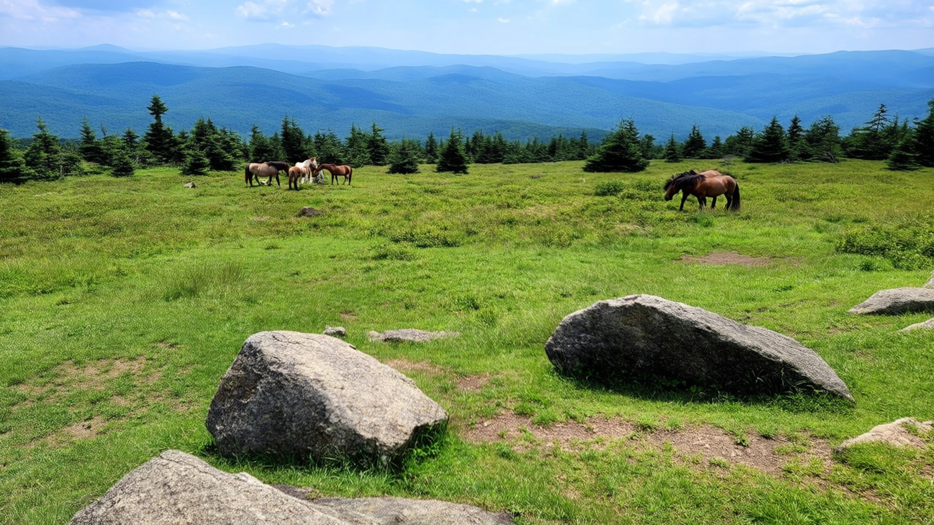 Grayson Highlands Trail 壁紙 — 馬匹在陽光照耀的綠色草地上吃草，草地上散佈著巨大的灰色岩石，遠處的森林覆蓋的山脈在藍天下形成框架。