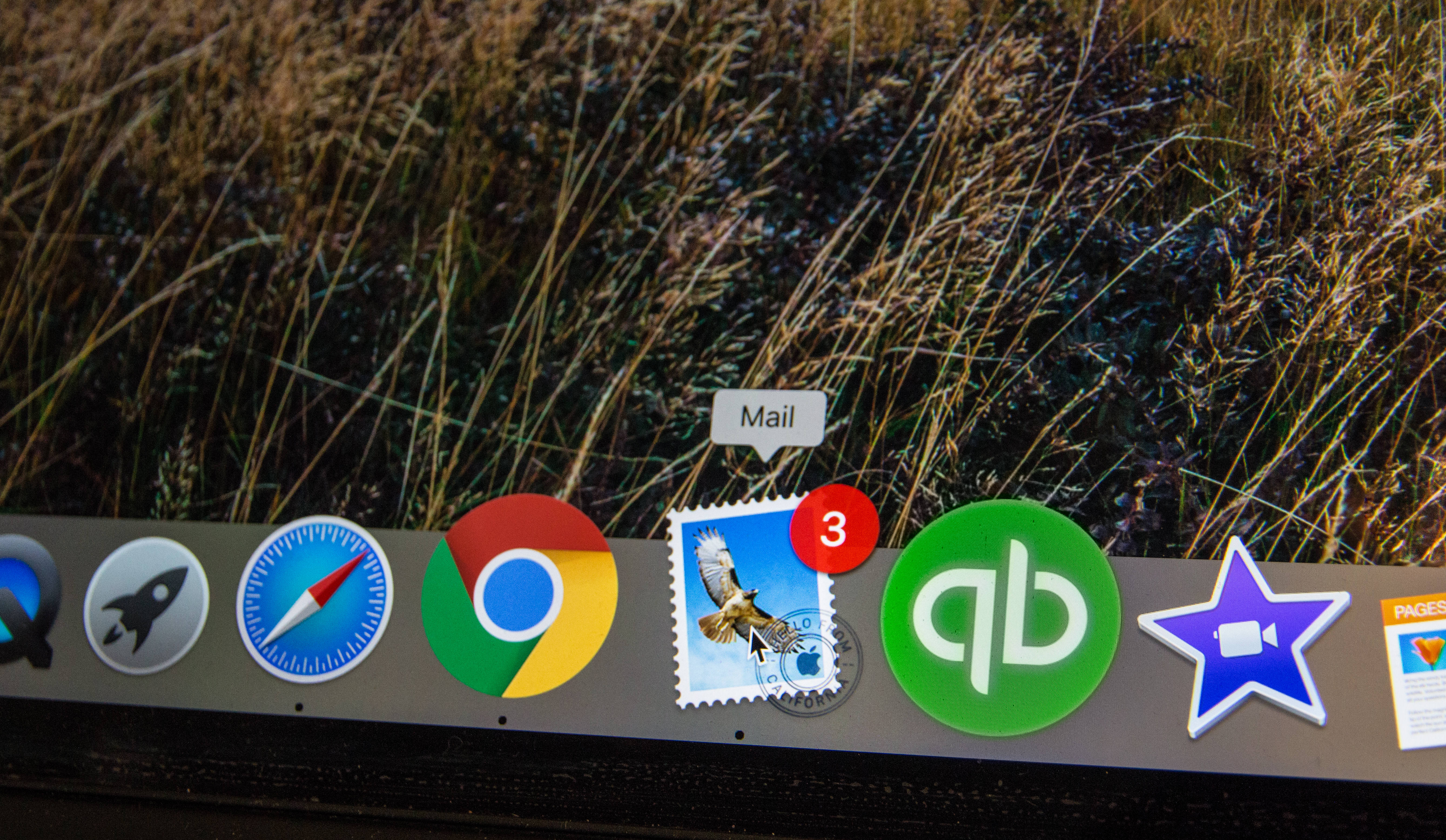 Email 桌布 壁紙 — MacOS Dock 帶有應用程式圖示，疊加在金色夕陽下的高草田野上。
