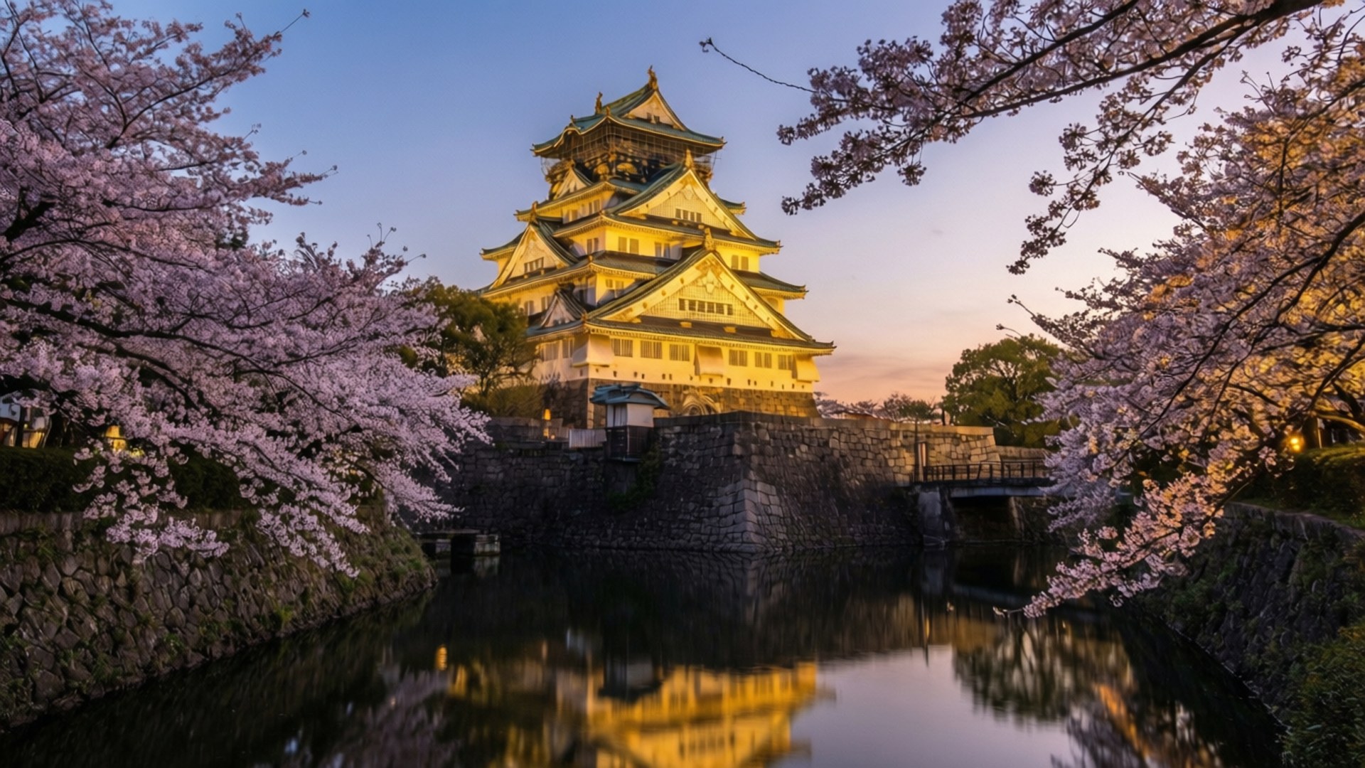 Castle in Cherry Blossom 壁紙 — 一座雄偉的日本城堡在黃昏時分被盛開的櫻花環繞，燈火輝煌，倒影在護城河中閃爍。