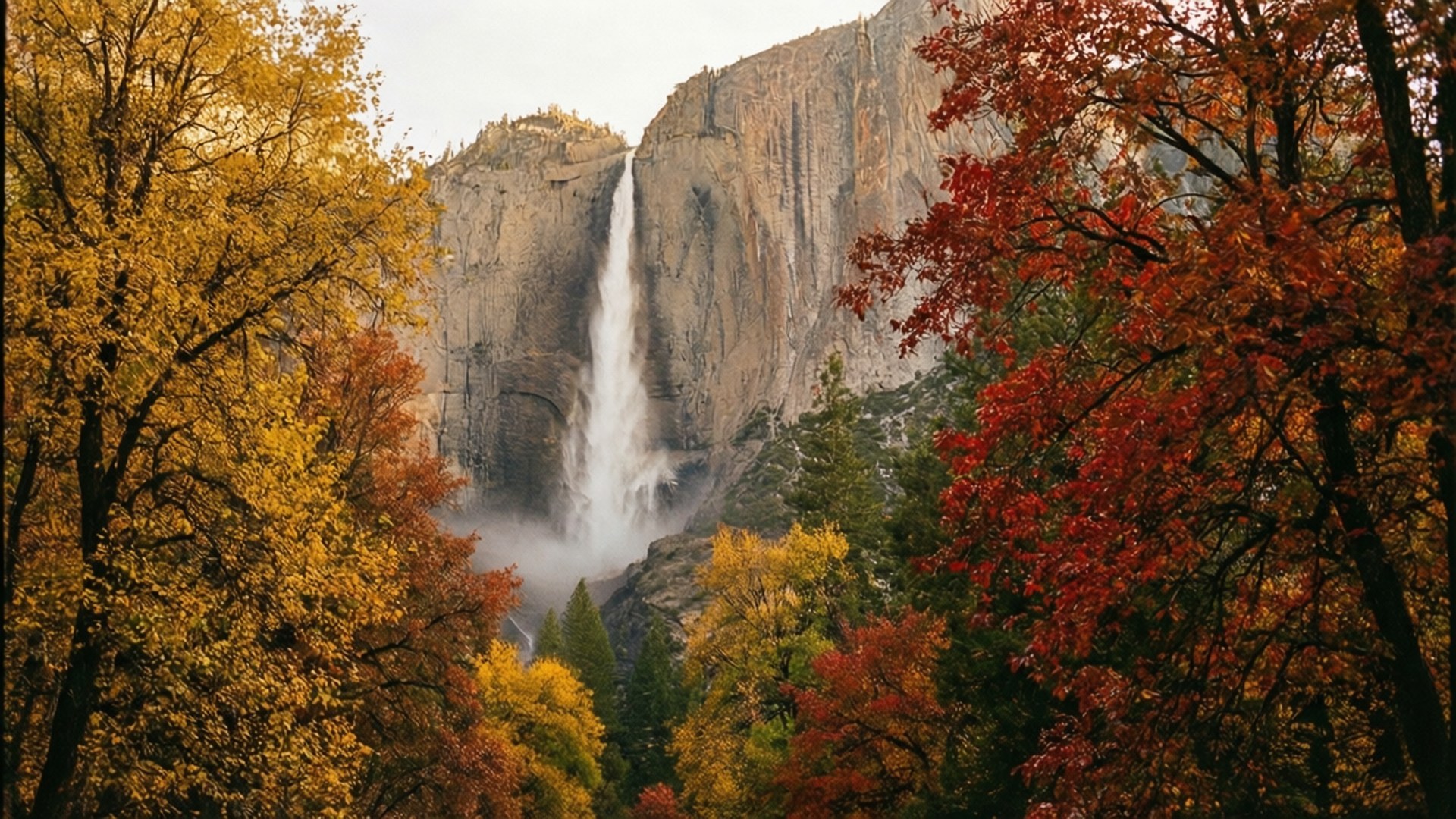 Autumn Bridalveil Fall 壁紙 — 一道雄偉的瀑布從陡峭的花崗岩懸崖傾瀉而下，周圍環繞著火紅、金黃和金色的鮮豔秋樹。