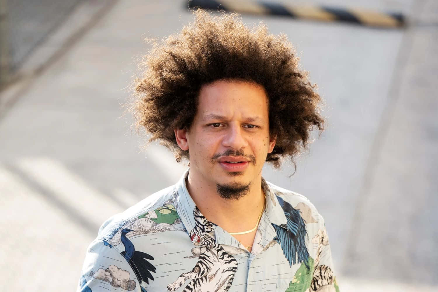  壁紙 — 一個擁有大型非洲髮型及圖案襯衫的男人，在陽光明媚的日子裡站在戶外，背景是混凝土。