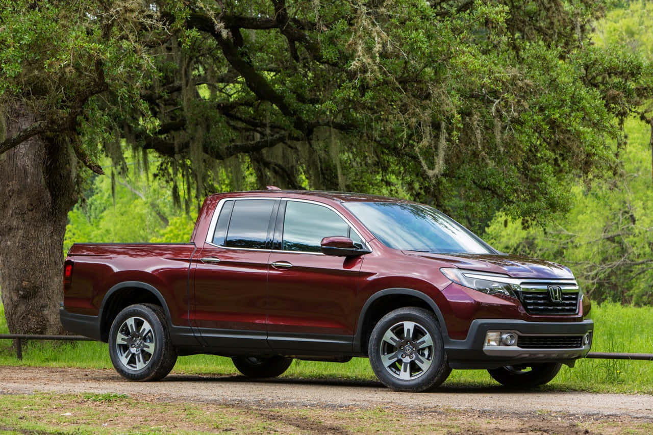 Honda Ridgeline 桌布 壁紙 — 一輛栗色本田 Ridgeline 皮卡車停放在茂密綠色森林中一條泥濘小徑上，上方是一棵佈滿苔蘚的大樹。