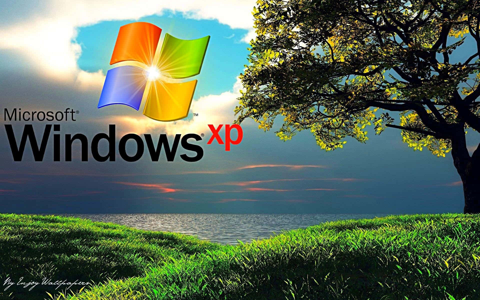 Microsoft Windows XP 壁紙