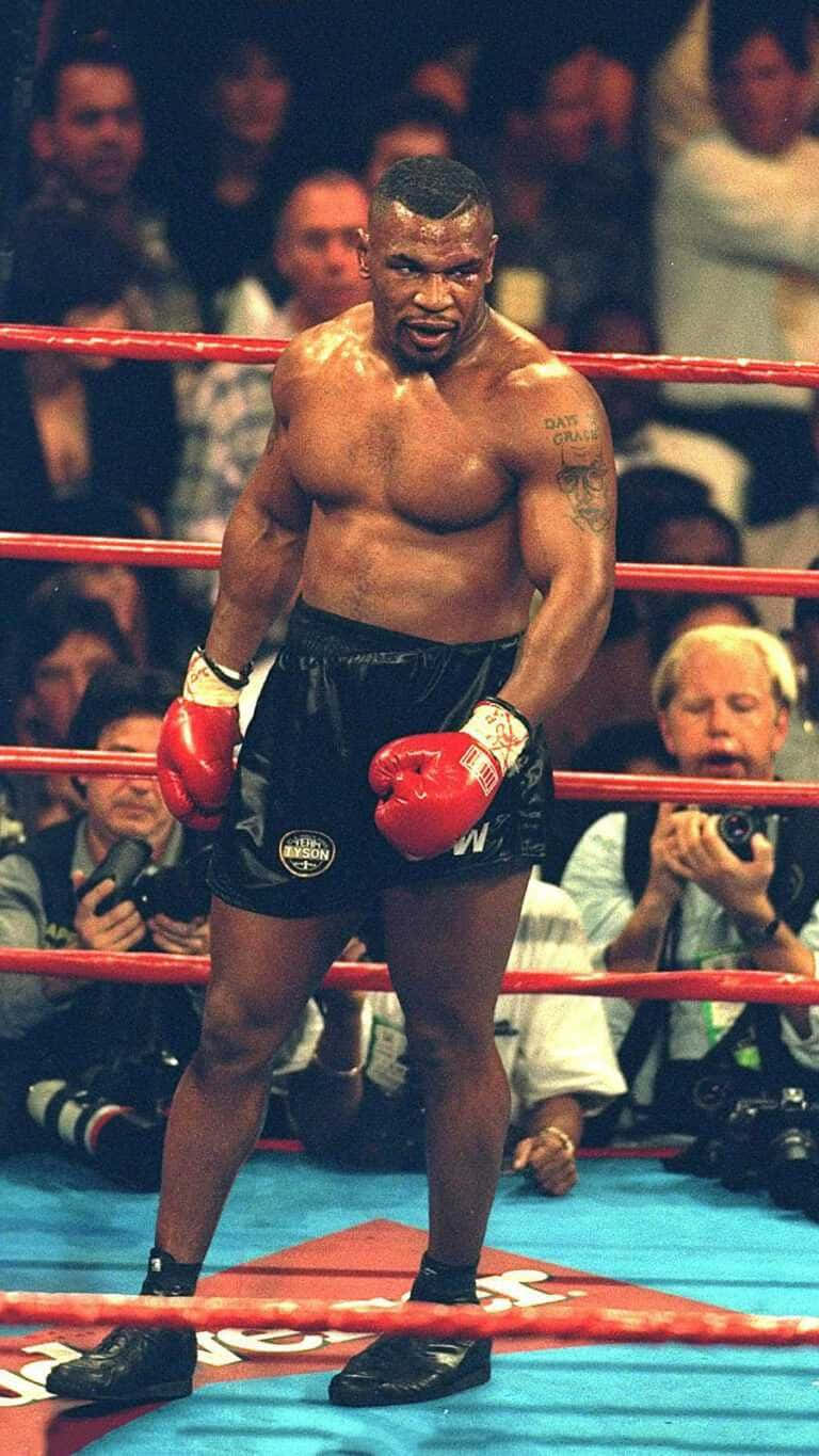 麥克·泰森 桌布 壁紙 — Mike Tyson 在拳擊比賽中戴上紅色手套和黑色短褲，表情兇狠地站在擂台上。