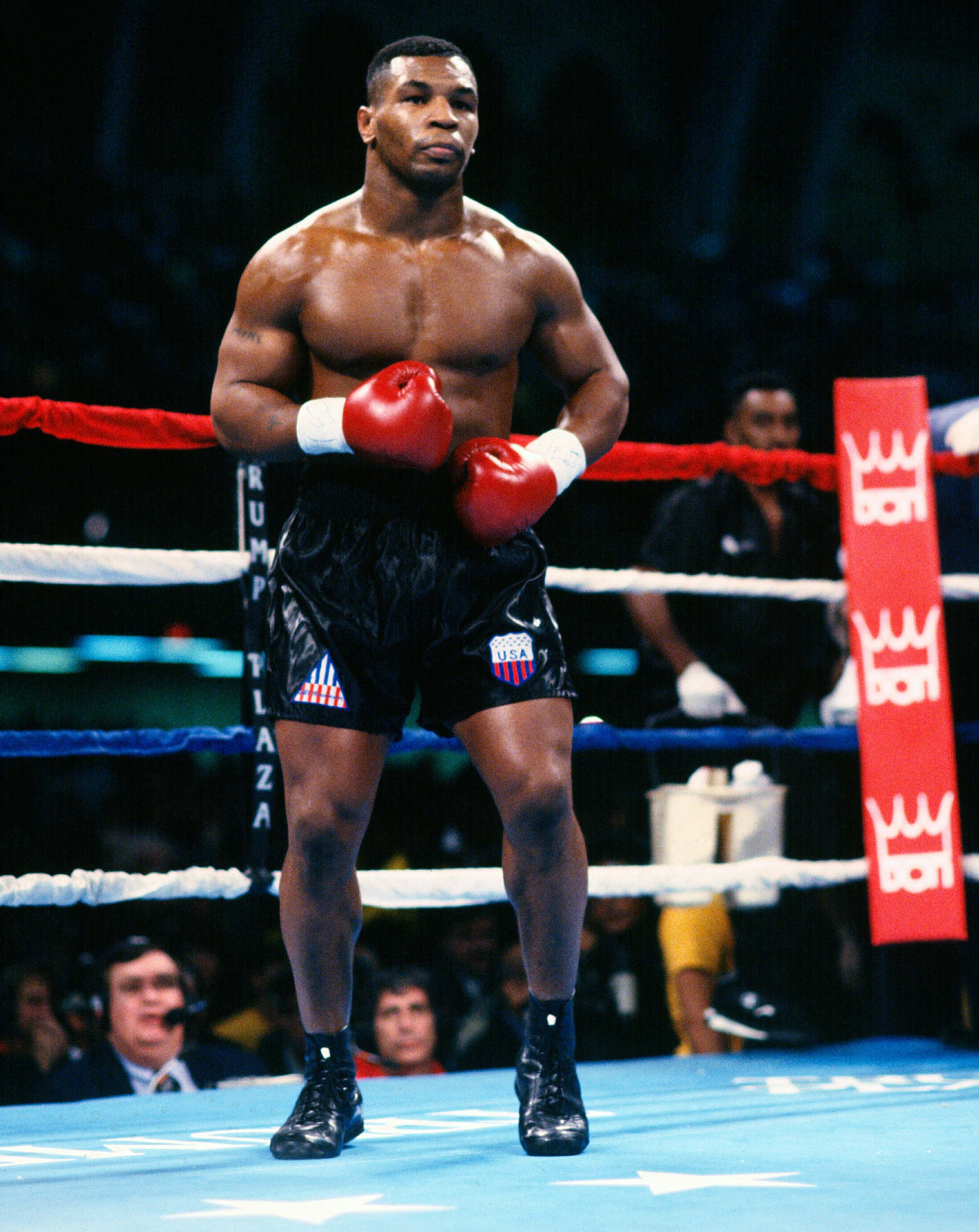 麥克·泰森 桌布 壁紙 — Mike Tyson 在明亮的場館燈光下，於拳擊台上擺好姿勢，戴著紅色手套，身穿帶有美國國旗徽章的黑色短褲。