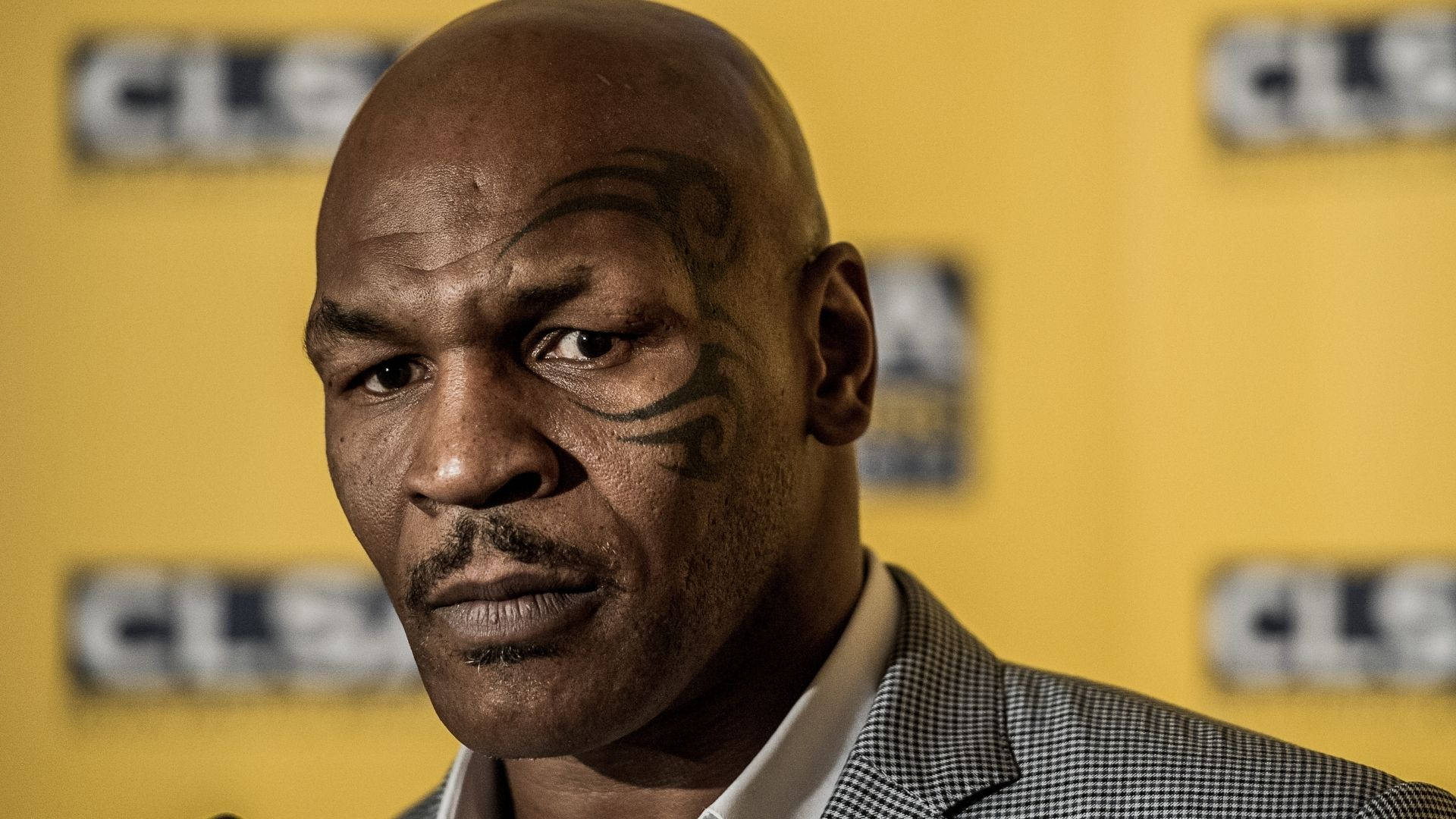 麥克·泰森 桌布 壁紙 — Mike Tyson 在黃色品牌背景前，以他標誌性的臉部彩繪，專注地凝視鏡頭。