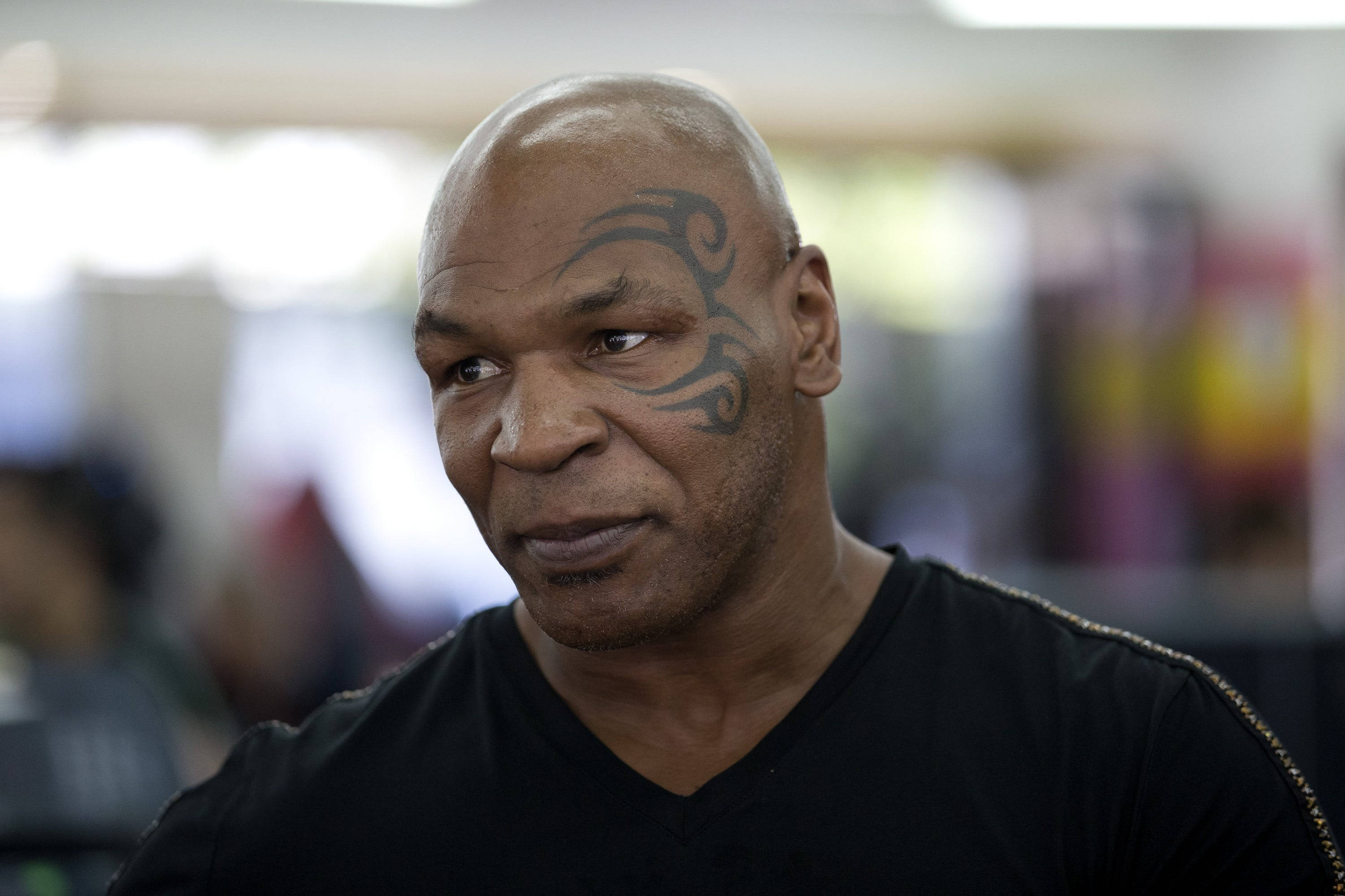 Tattoo 桌布 壁紙 — Mike Tyson 專注地凝視著，他光頭上標誌性的部落紋身清晰可見，背景是柔和模糊的室內環境。