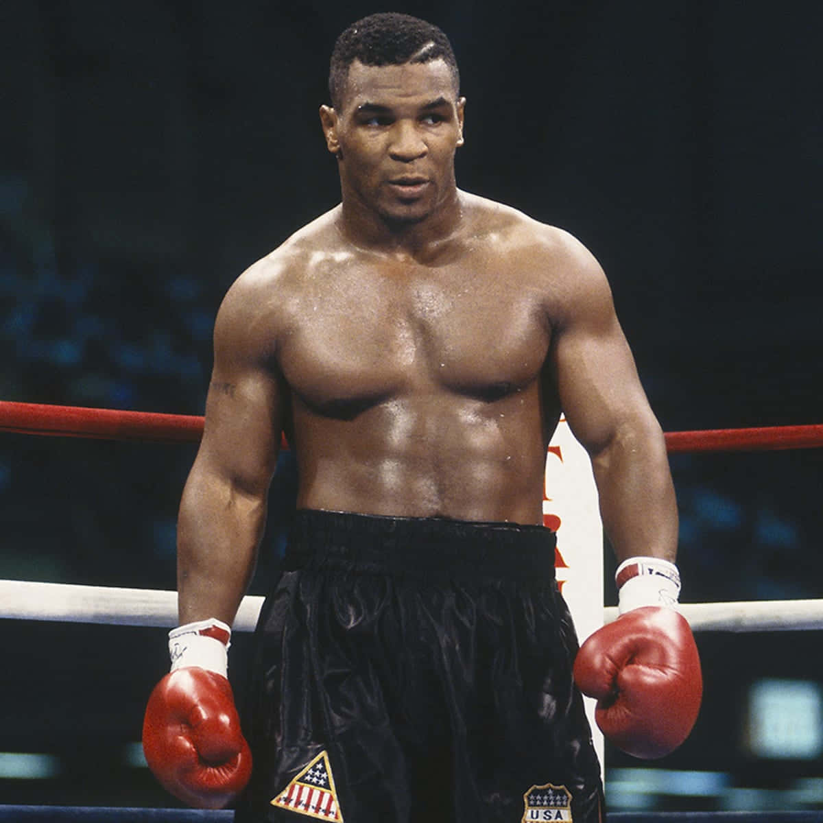 麥克·泰森 桌布 壁紙 — Mike Tyson 站在拳擊台上，戴著紅色手套和帶有美國補丁的黑色短褲，汗水在明亮的競技場燈光下閃耀在他肌肉發達的軀幹上。