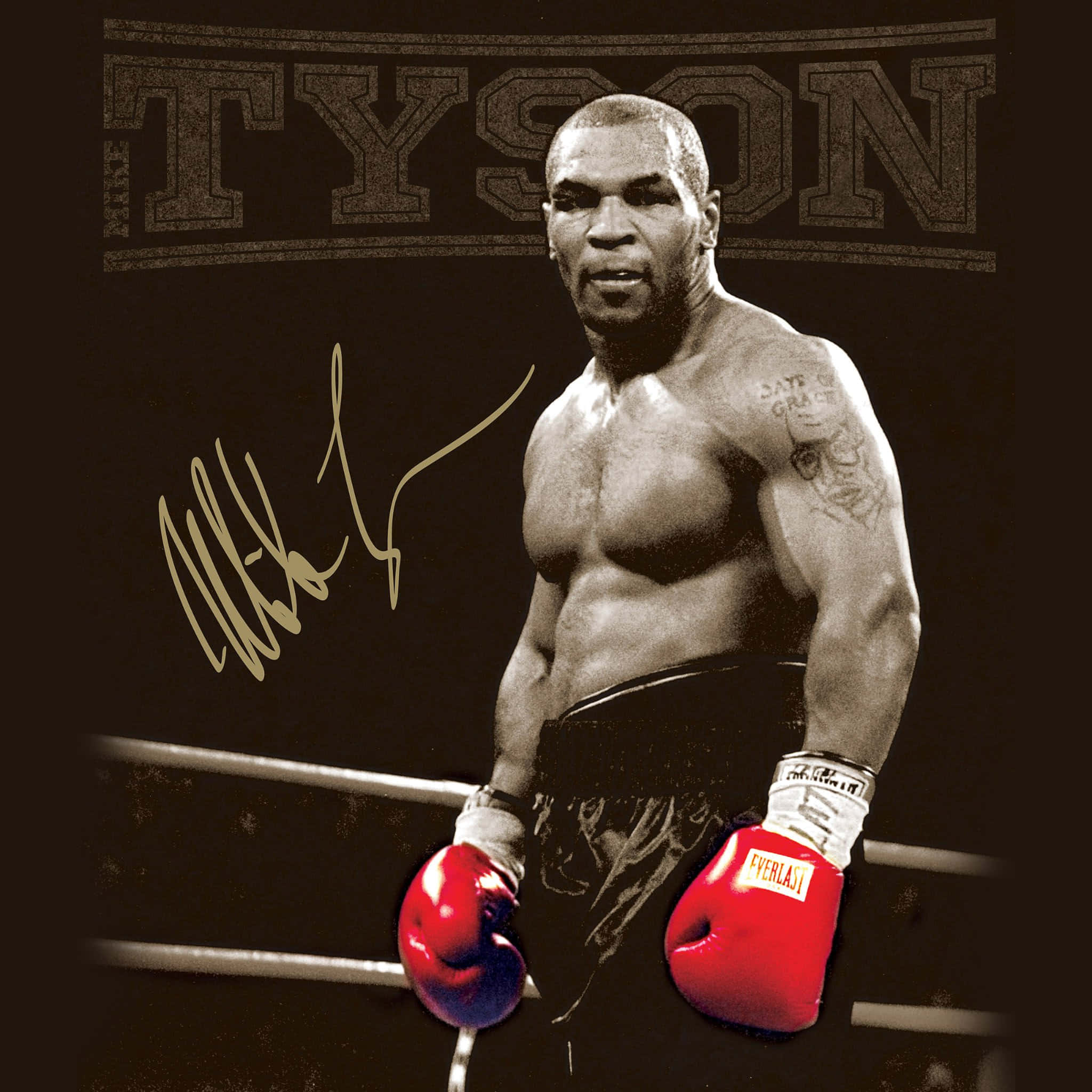 麥克·泰森 桌布 壁紙 — Mike Tyson 站在拳擊擂台上，戴著紅色手套，他的簽名和名字顯示在上方。
