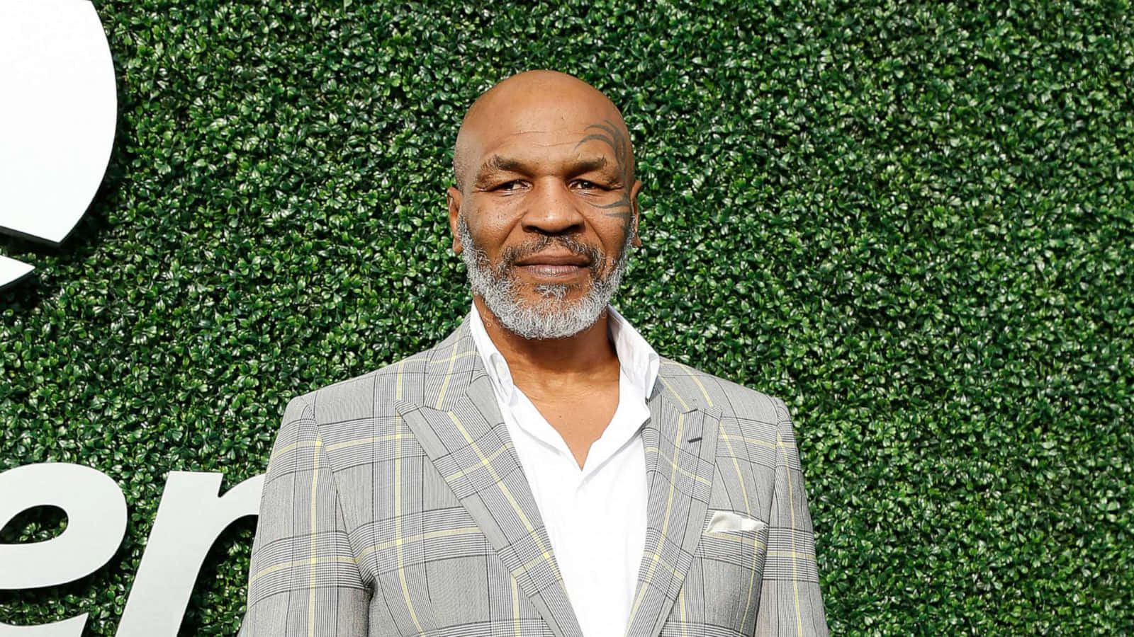 麥克·泰森 桌布 壁紙 — Mike Tyson 自信地穿著灰色格紋西裝，站在茂密的綠色樹籬牆前，牆上有部分白色字樣。