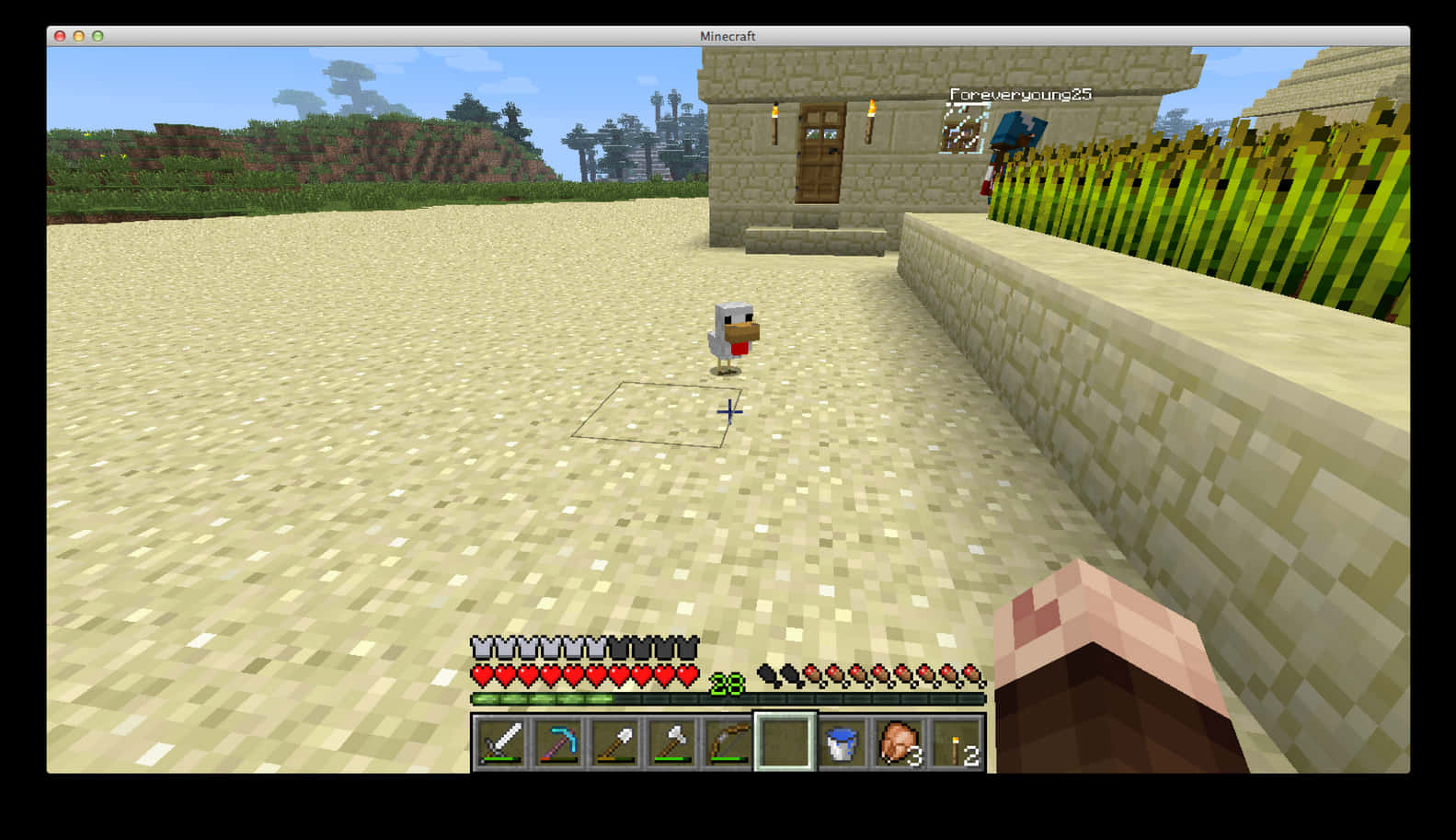 Minecraft 沙地村莊與小雞冒險 壁紙