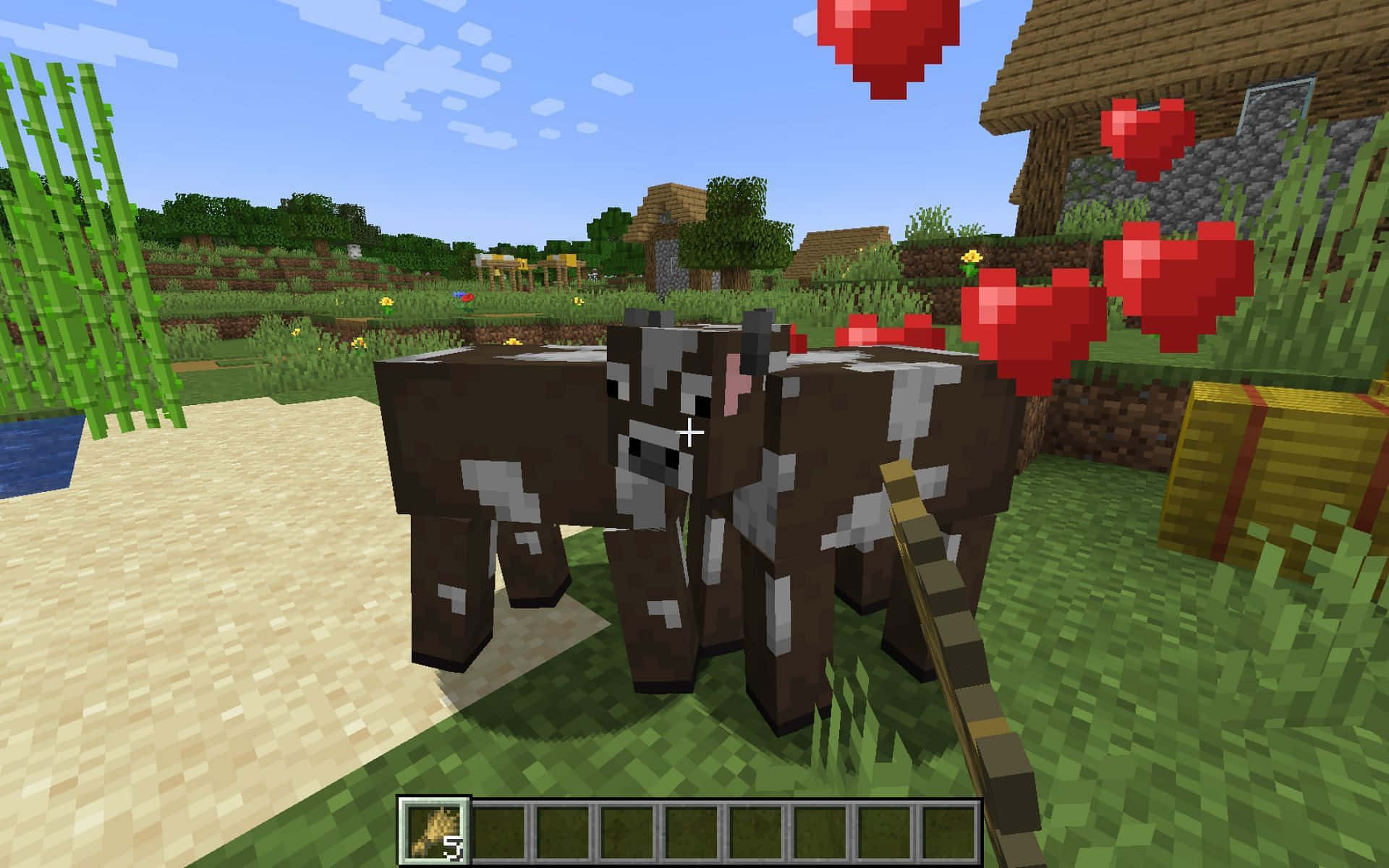 Minecraft Cow 桌布 壁紙 — Minecraft 中兩隻像素化的牛在草地村莊場景中靠近站立，上方有漂浮的紅色心形。