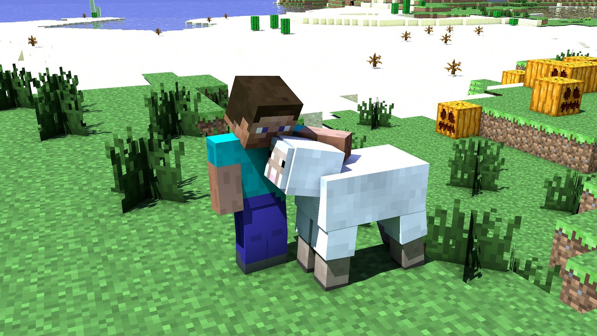 我的世界 史蒂夫 桌布 壁紙 — Minecraft 玩家角色站在一個有草地的像素化田野中，旁邊有一隻白色的羊，背景有南瓜和水。