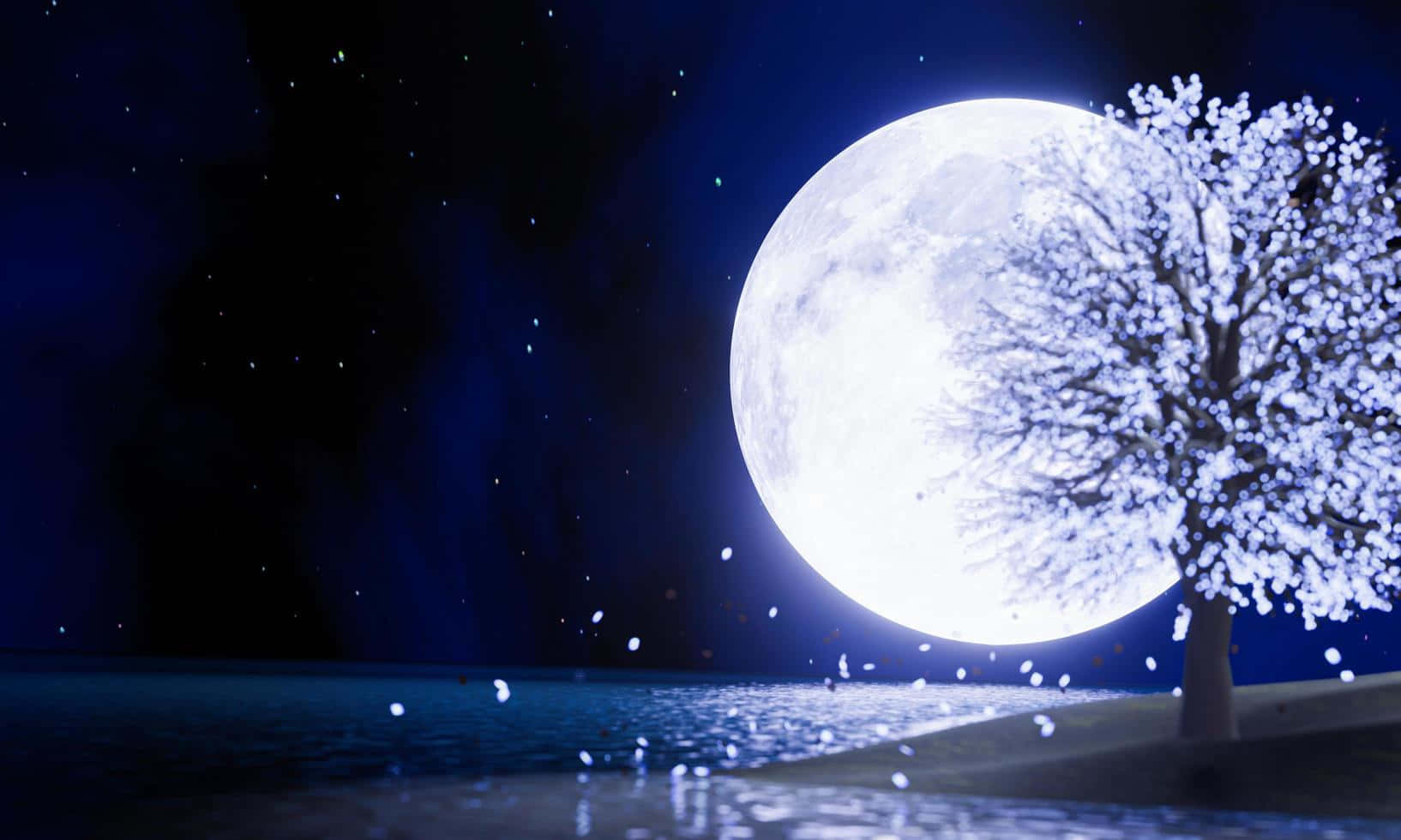  壁紙 — 一輪明亮的滿月在繁星夜空下，從寧靜水邊盛開的樹後升起。