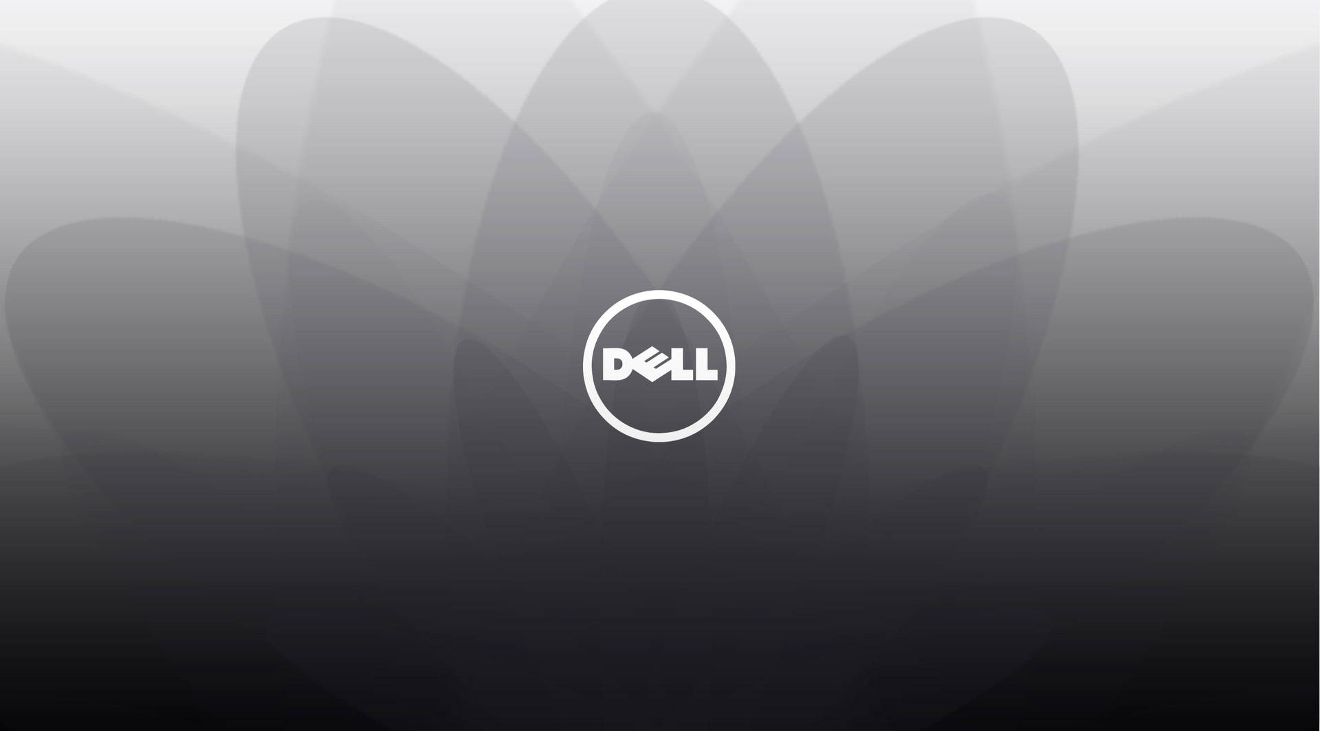 Dell標誌在帶有柔和花瓣形狀的抽象灰色漸變背景上。 — Dell 壁紙