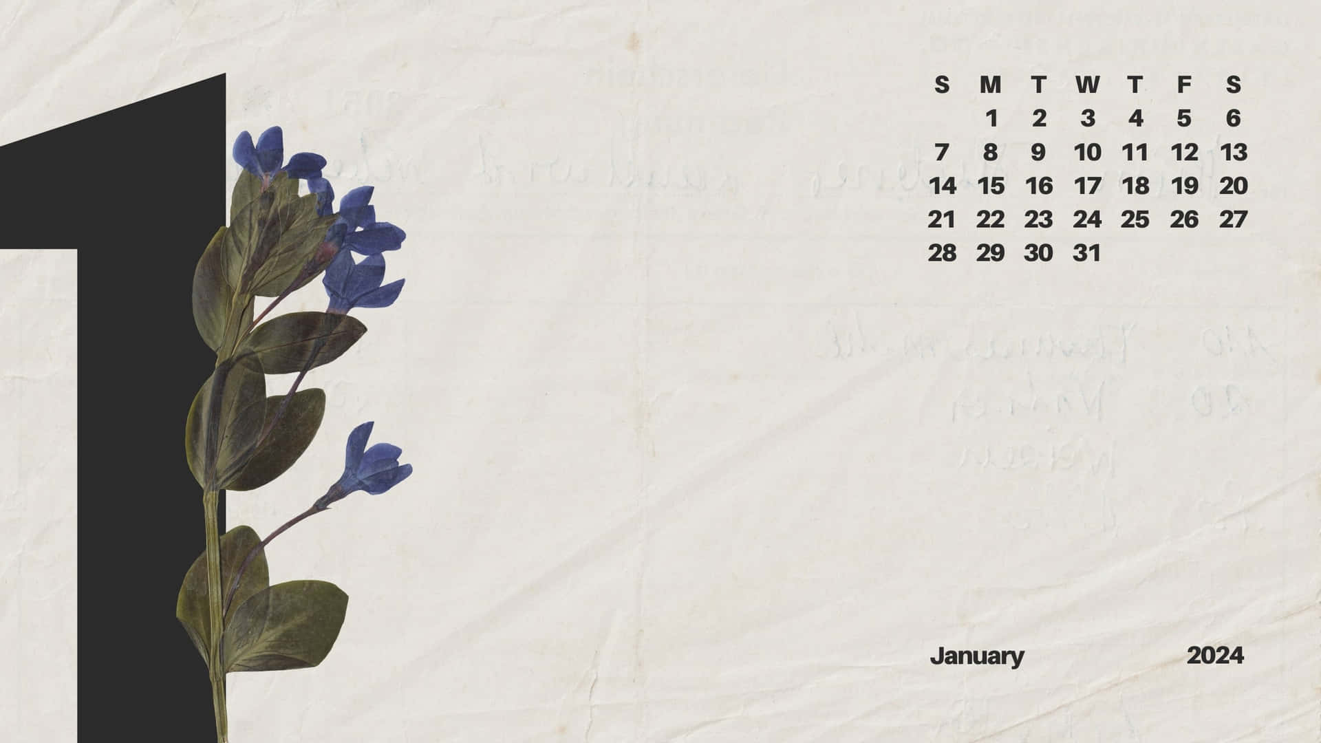  壁紙 — 簡約風格的2024年1月月曆，壓花藍色花朵置於紋理紙上，旁邊是大型黑色數字一。