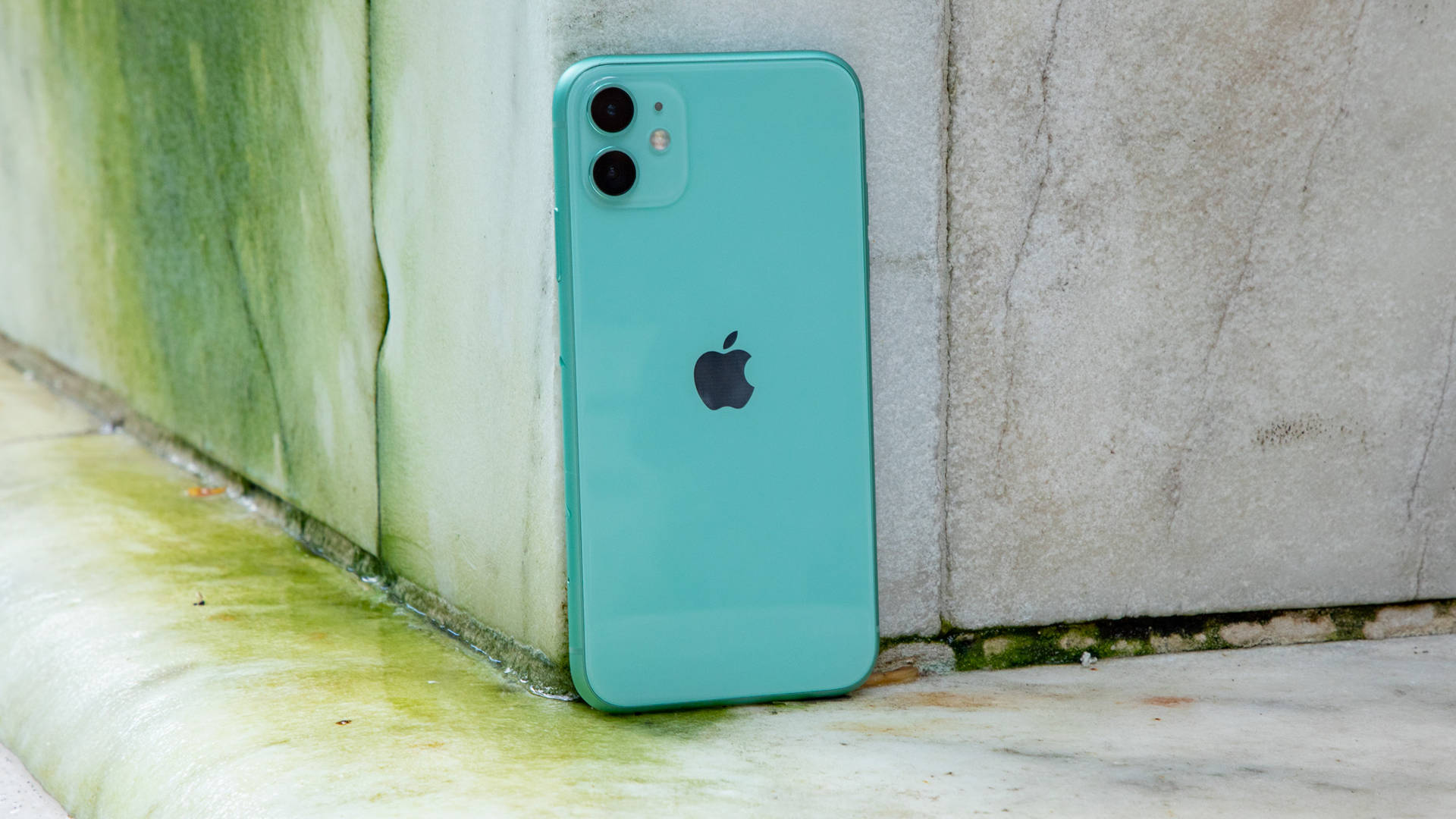 薄荷綠色iPhone靠在一面長滿苔蘚的混凝土牆上。 — iPhone 11 壁紙