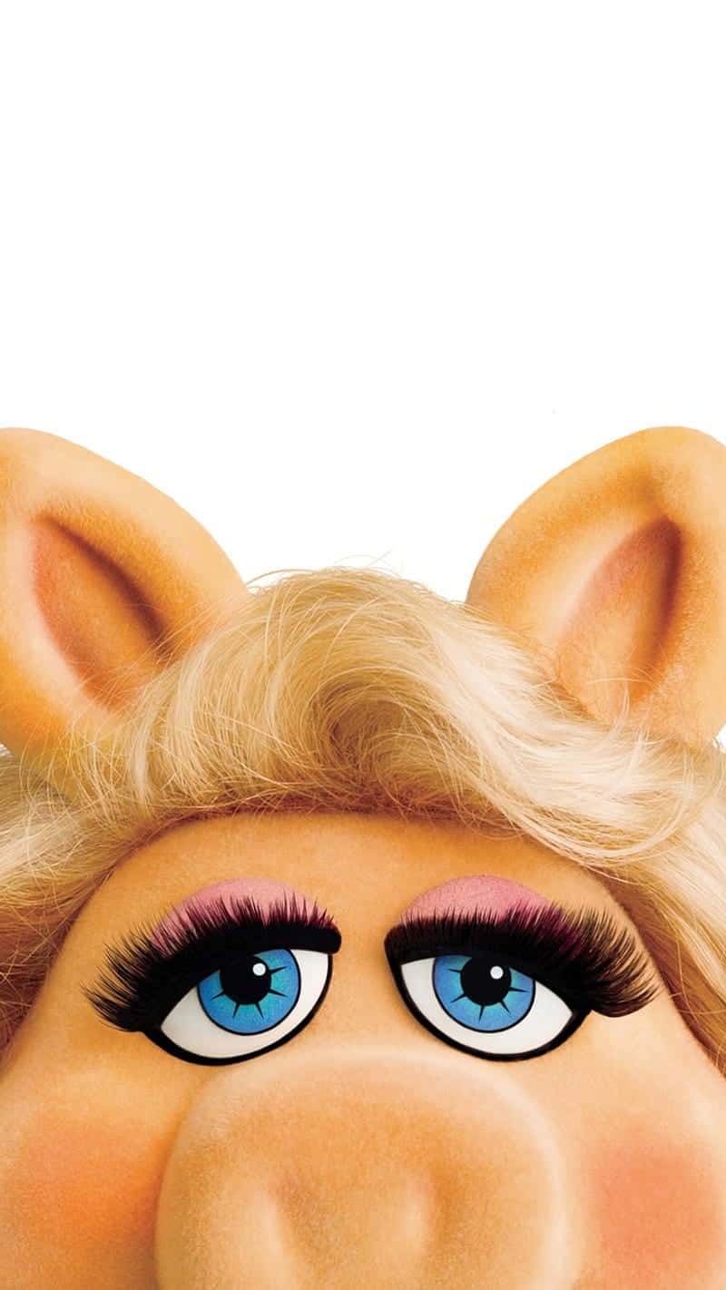Animal Muppet 桌布 壁紙 — Miss Piggy 富有表現力的藍色眼睛和金色頭髮的特寫，背景為純白色。