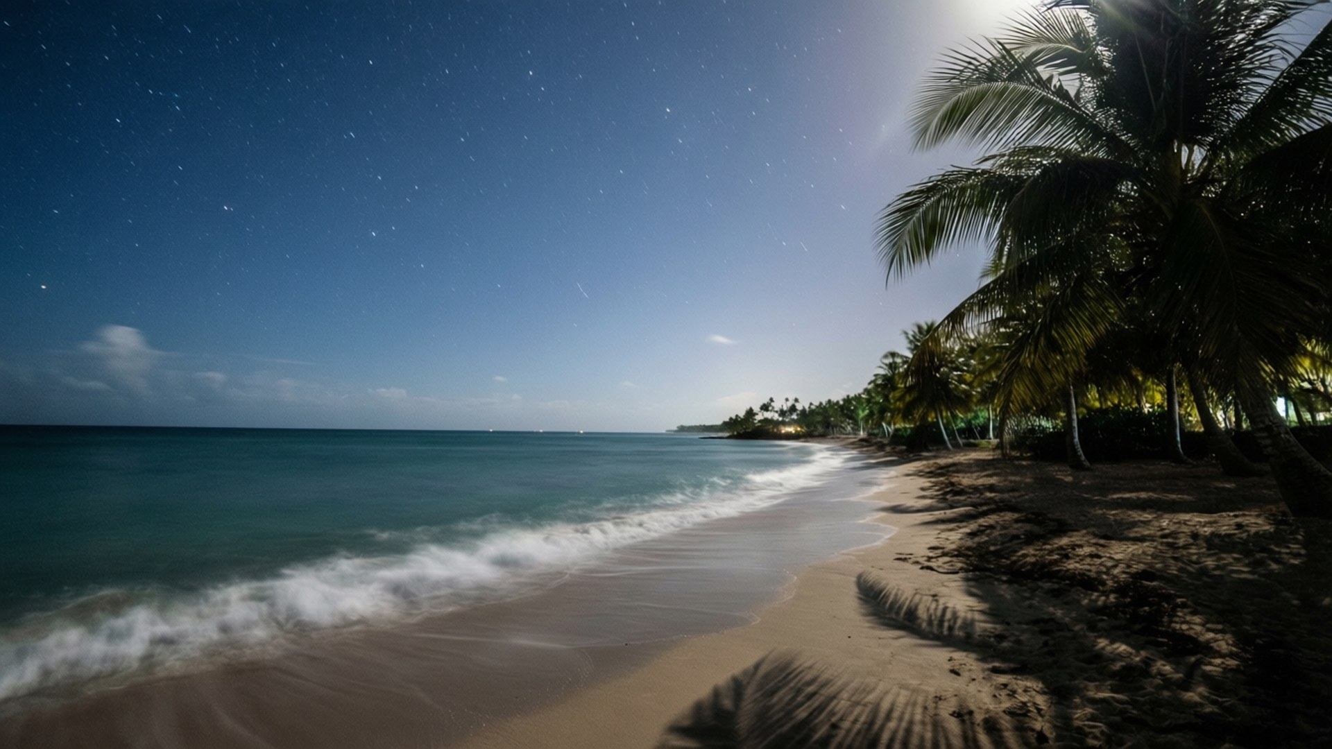 Negril Starlight 壁紙 — 月光下的海灘，在繁星點點的天空下，海浪拍打，棕櫚樹剪影環繞。