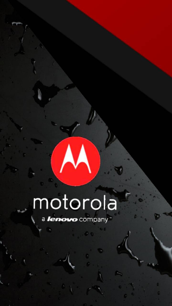 摩托羅拉 桌布 壁紙 — Motorola 標誌位於紅色圓圈中央，置於帶有水珠和紅色斜紋的光滑黑色表面上。