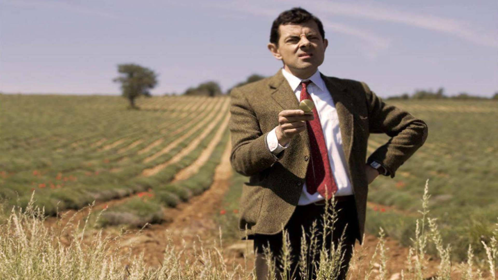 豆豆先生 桌布 壁紙 — Mr Bean 站在陽光明媚的薰衣草田中，手持一個綠色小物體，表情困惑。