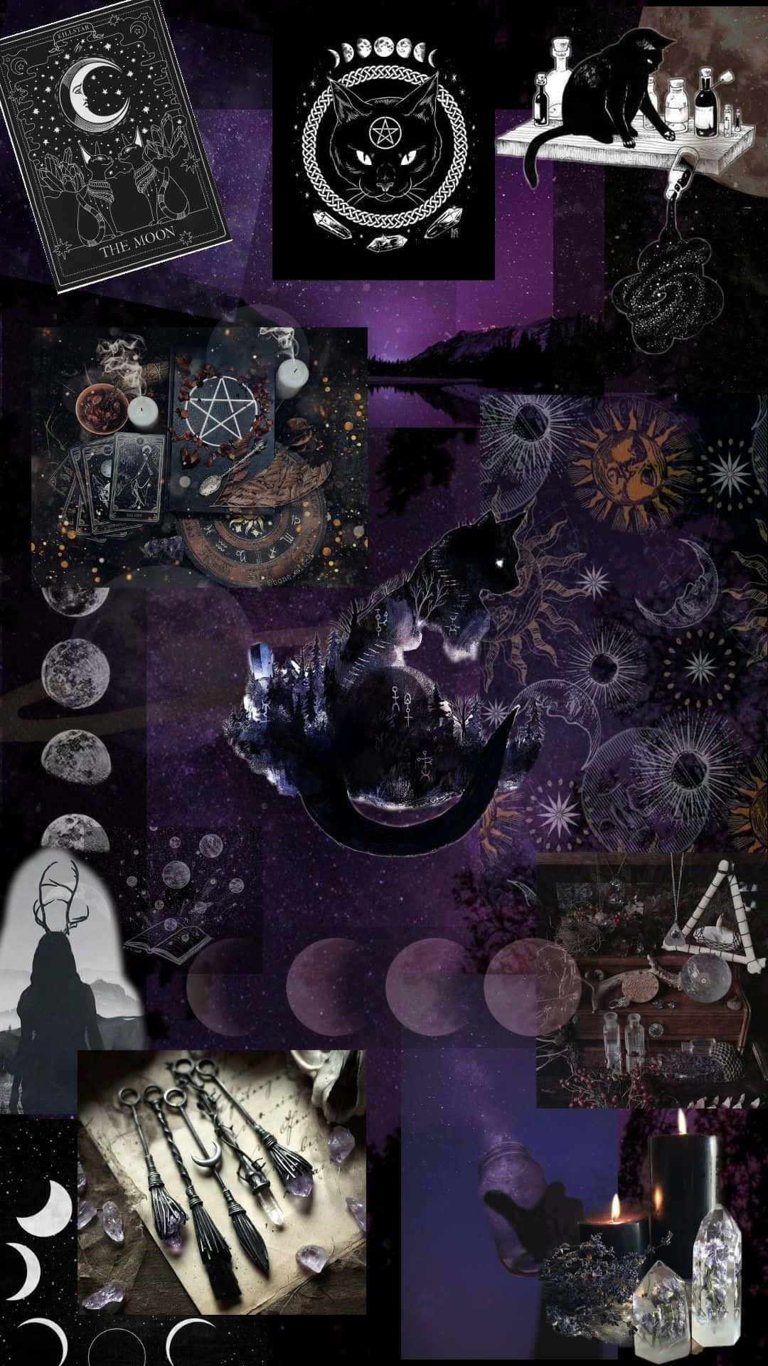  壁紙 — 一個神秘的紫色拼貼畫，包含黑貓、月相、塔羅牌、水晶和神秘符號，背景是星空夜空。