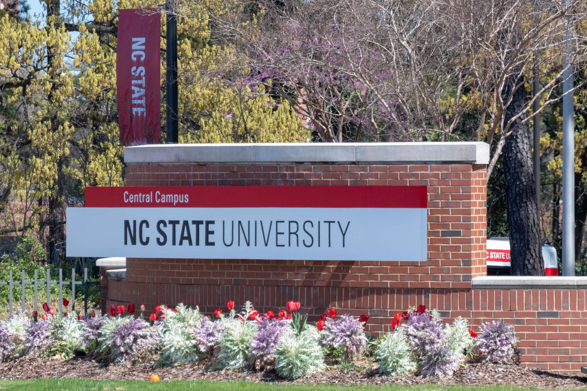 Flowers 桌布 壁紙 — NC State University 的標誌在中央校園，被盛開的紅色鬱金香和發芽的樹木包圍，在明亮的日光下。