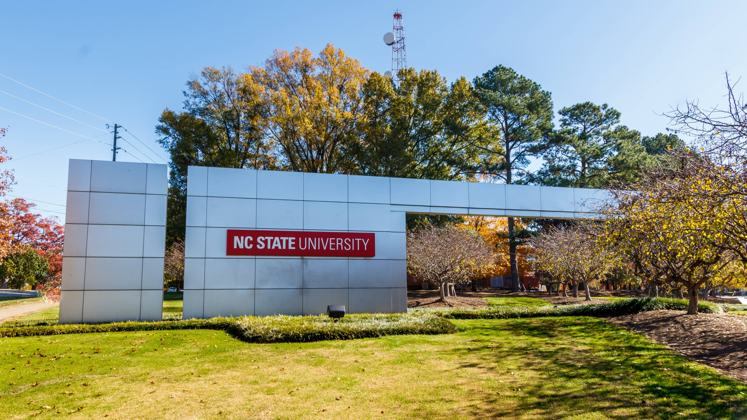 Greenery 桌布 壁紙 — NC State University 標誌在晴朗藍天下高聳，周圍環繞著秋樹和修剪整齊的草坪。