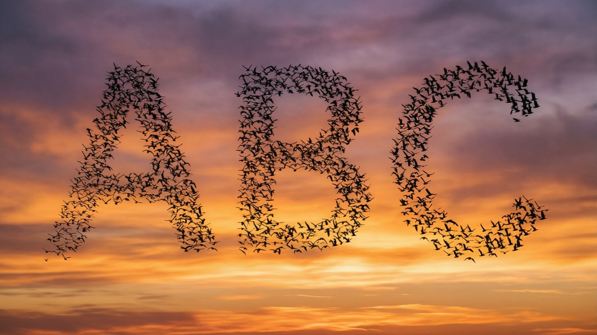 Birds Forming ABC 壁紙 — 鳥的剪影在充滿活力的橙色和紫色日落天空下形成字母ABC。