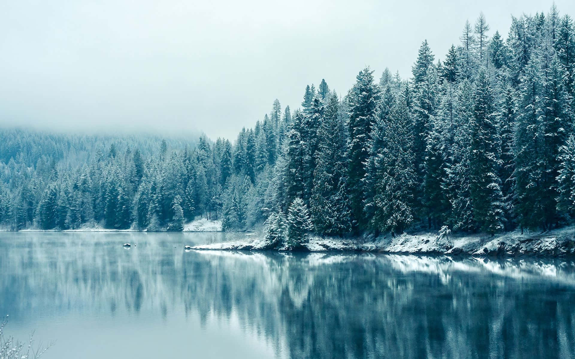 白雪覆蓋的松樹在霧濛濛的天空下倒映在平靜的冬日湖中。 — Chromebook 壁紙